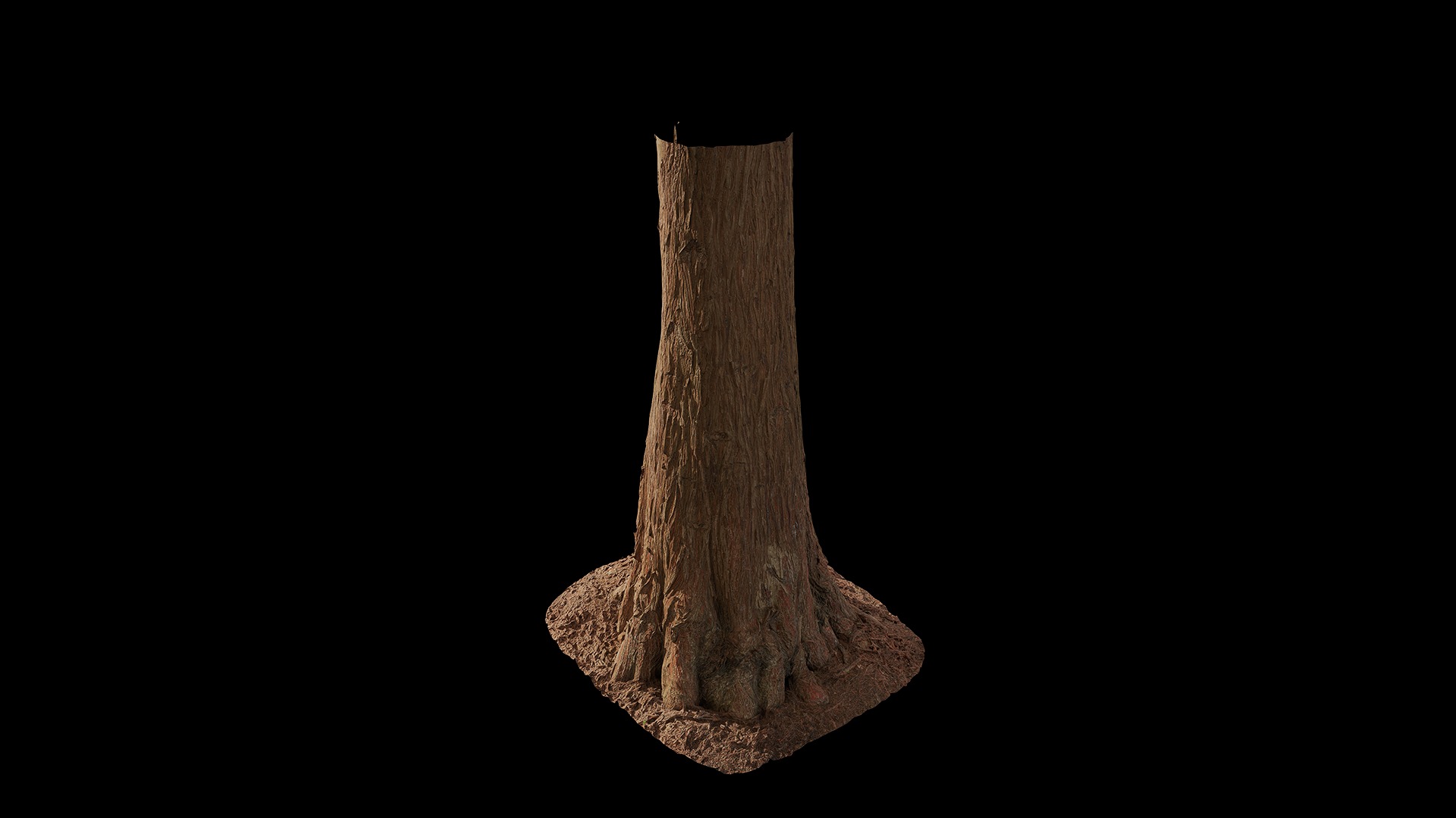 Taxodium ascendens Low-poly 3D model_96