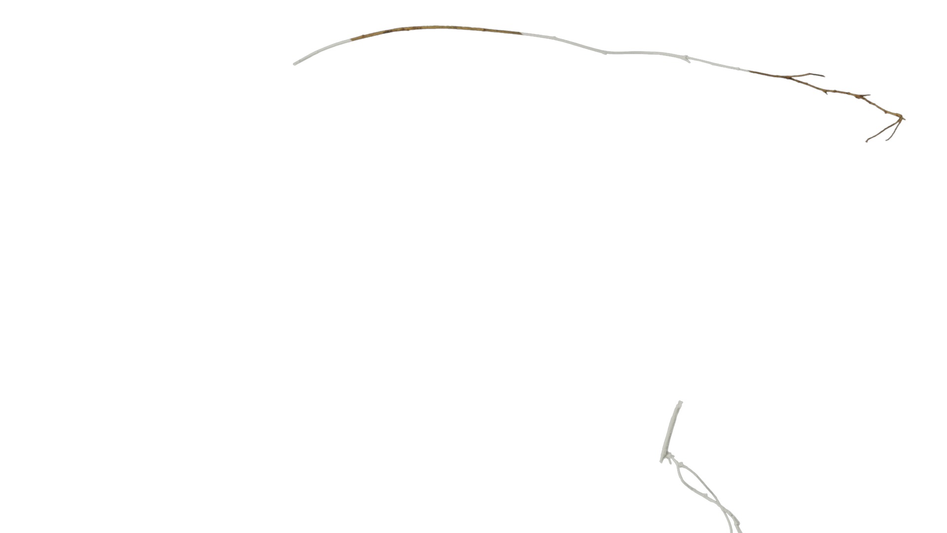 Anydrafts Dead stalks 09 Texture_7