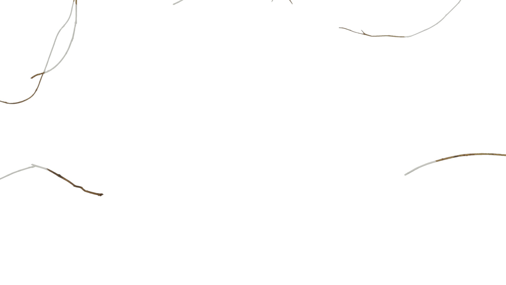 Anydrafts Dead stalks 09 Texture_3