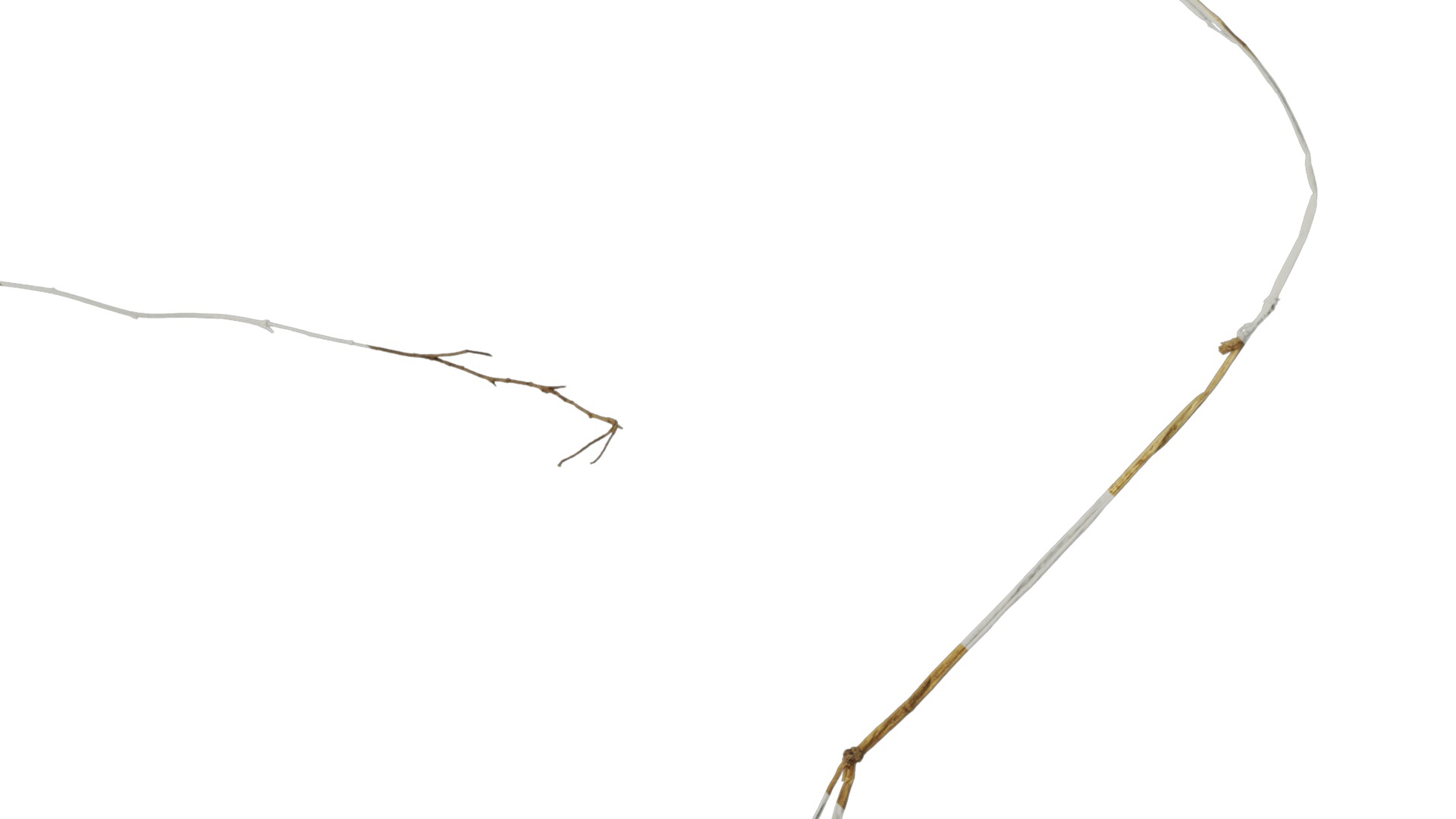 Anydrafts Dead stalks 09 Texture_4