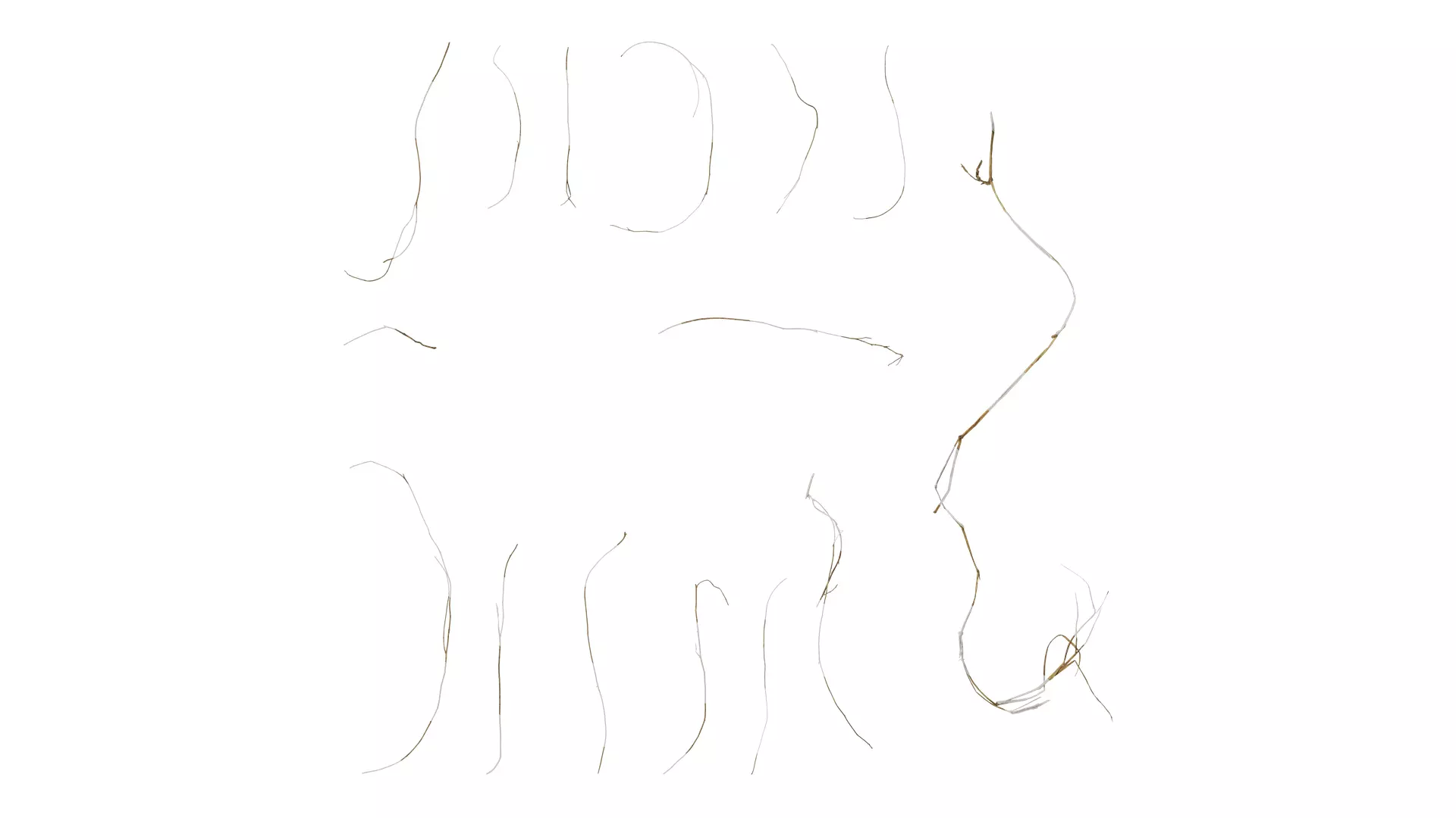 Anydrafts Dead stalks 09 Texture_0