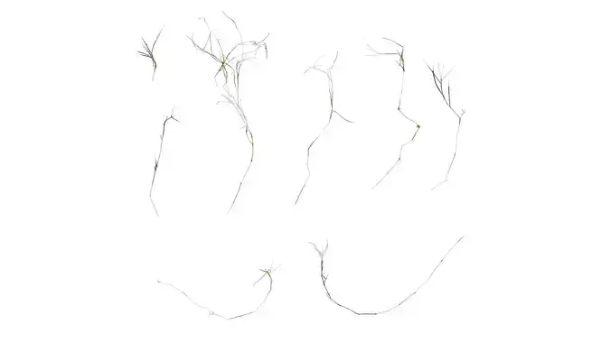 Anydrafts Dead stalks 10