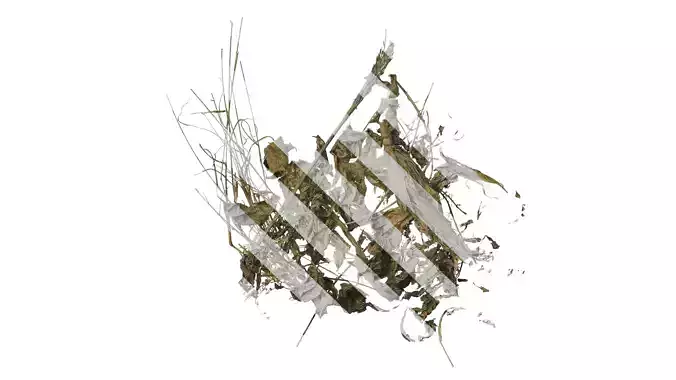 Anydrafts Pile of dead leaves 01