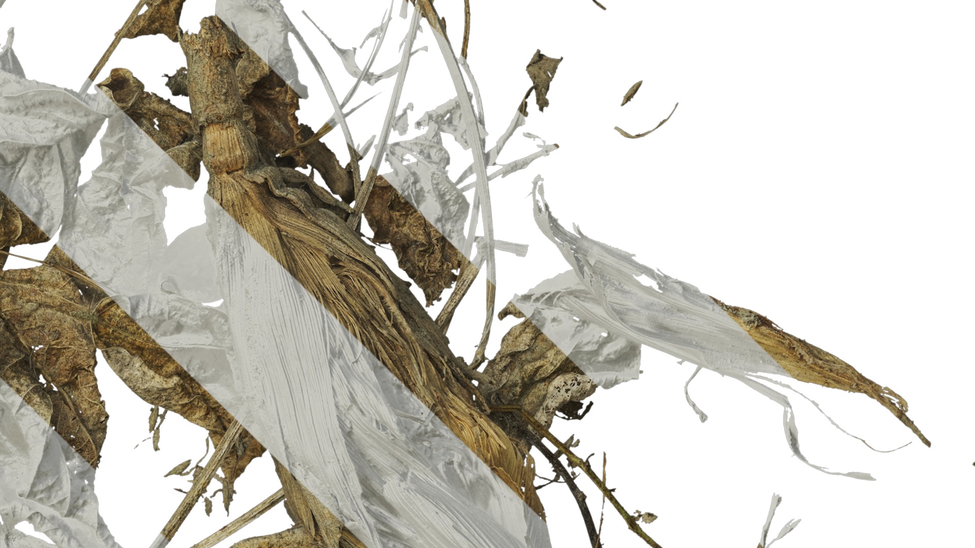 Anydrafts Pile of dead leaves 01 Texture_4