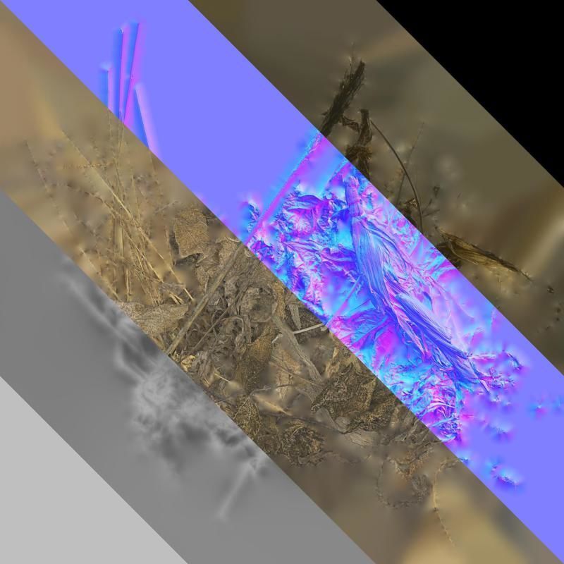 Anydrafts Pile of dead leaves 01 Texture_8