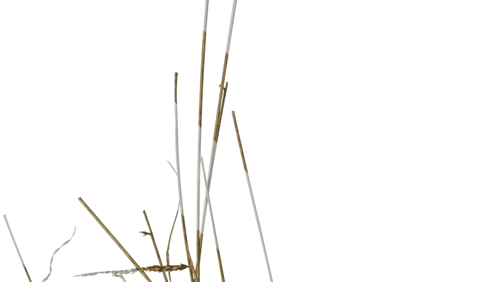 Anydrafts Pile of dead leaves 01 Texture_1