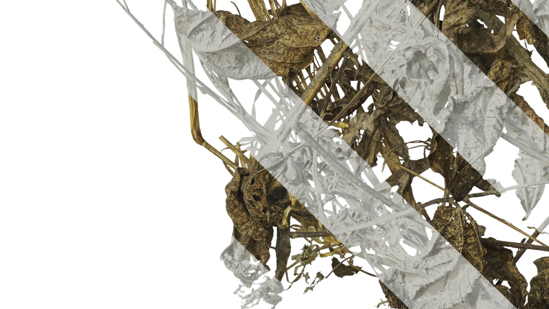 Anydrafts Pile of dead leaves 01 Texture_5