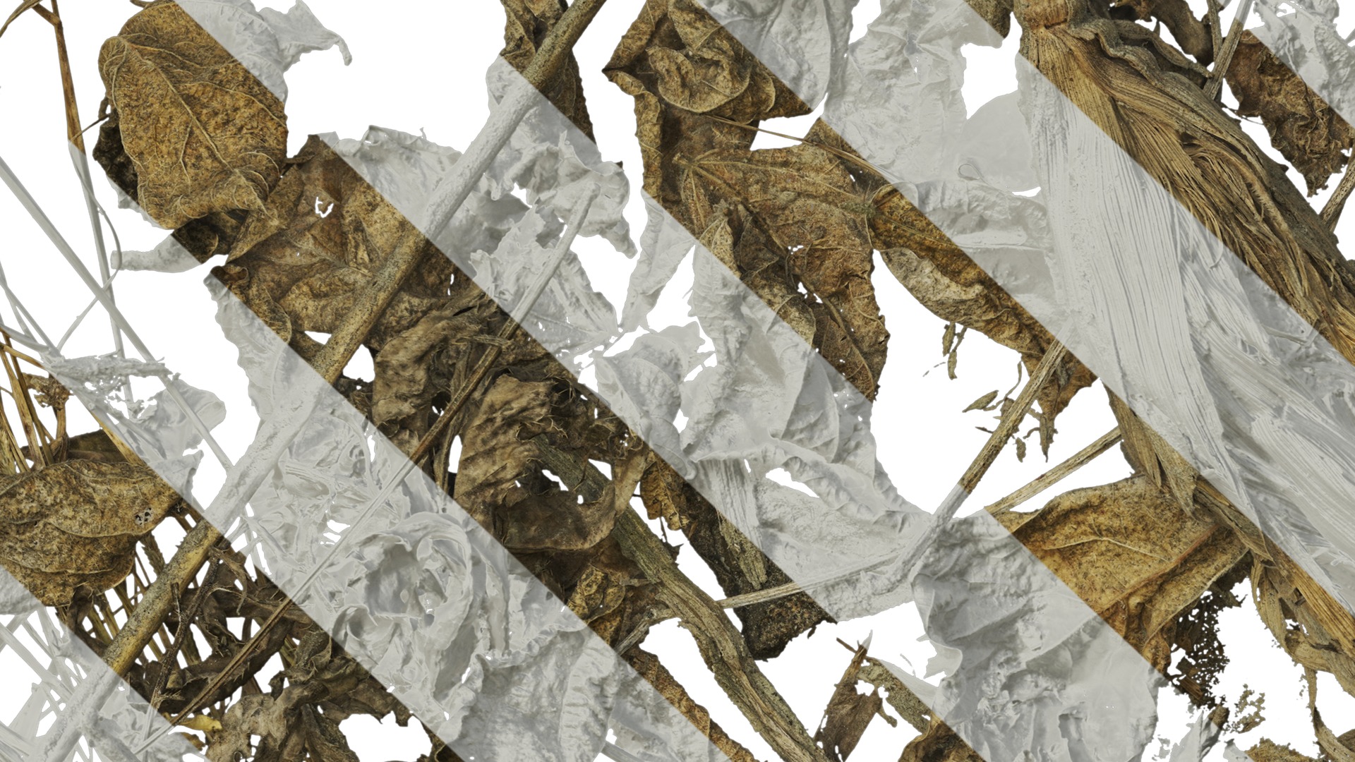 Anydrafts Pile of dead leaves 01 Texture_7