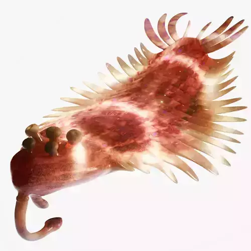 Opabinia Low-poly 3D model
