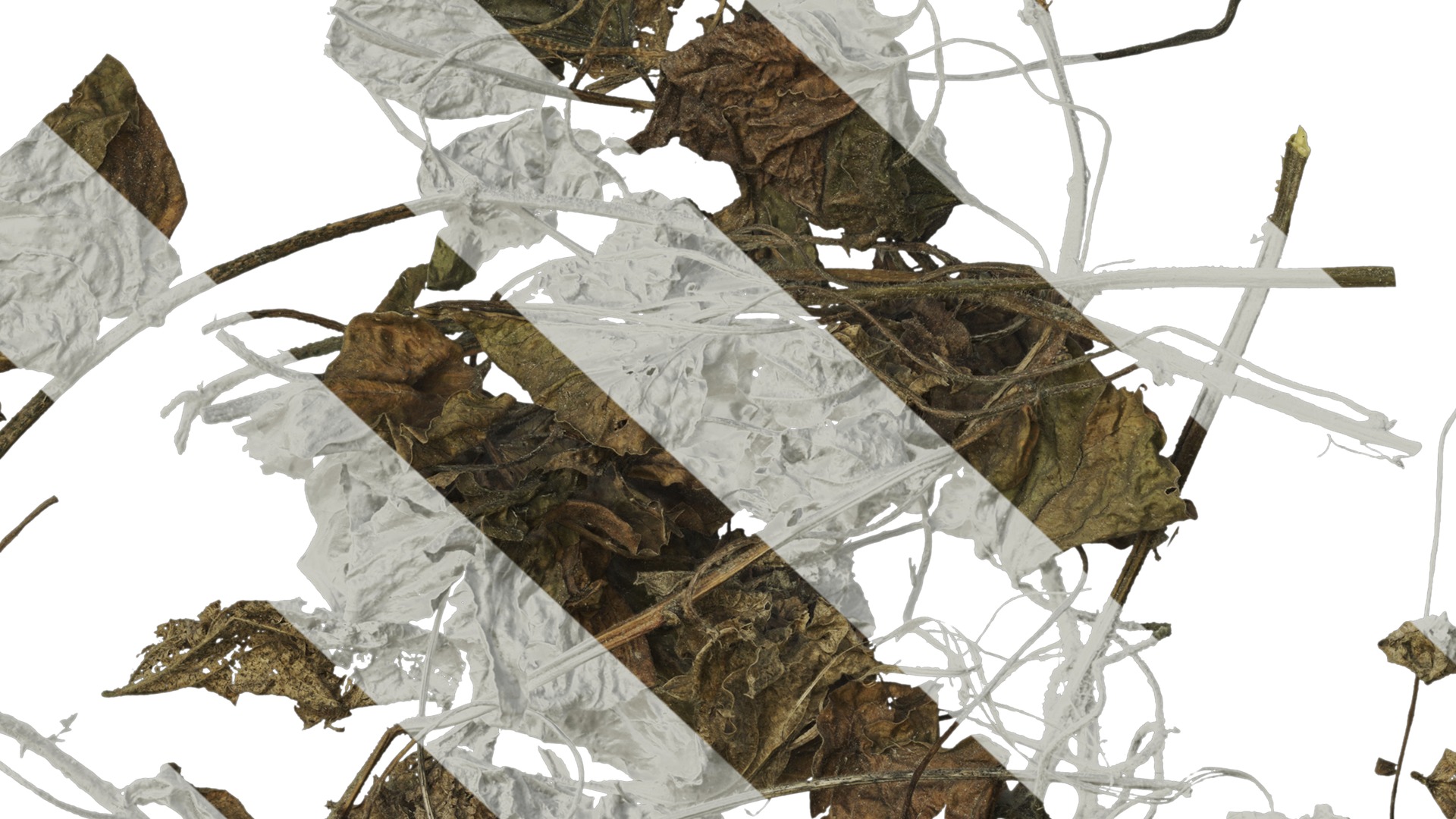 Anydrafts Pile of dead leaves 06 Texture_7