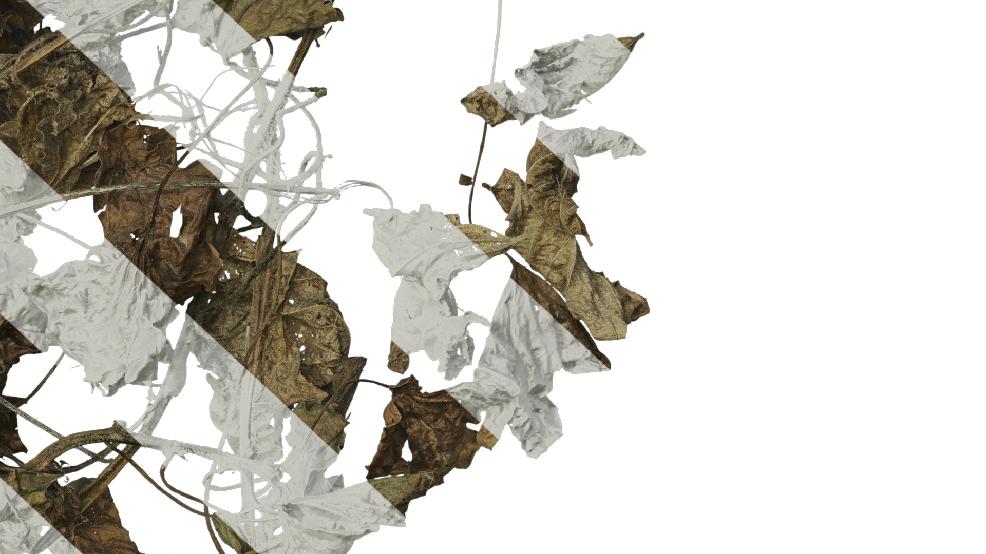 Anydrafts Pile of dead leaves 06 Texture_6