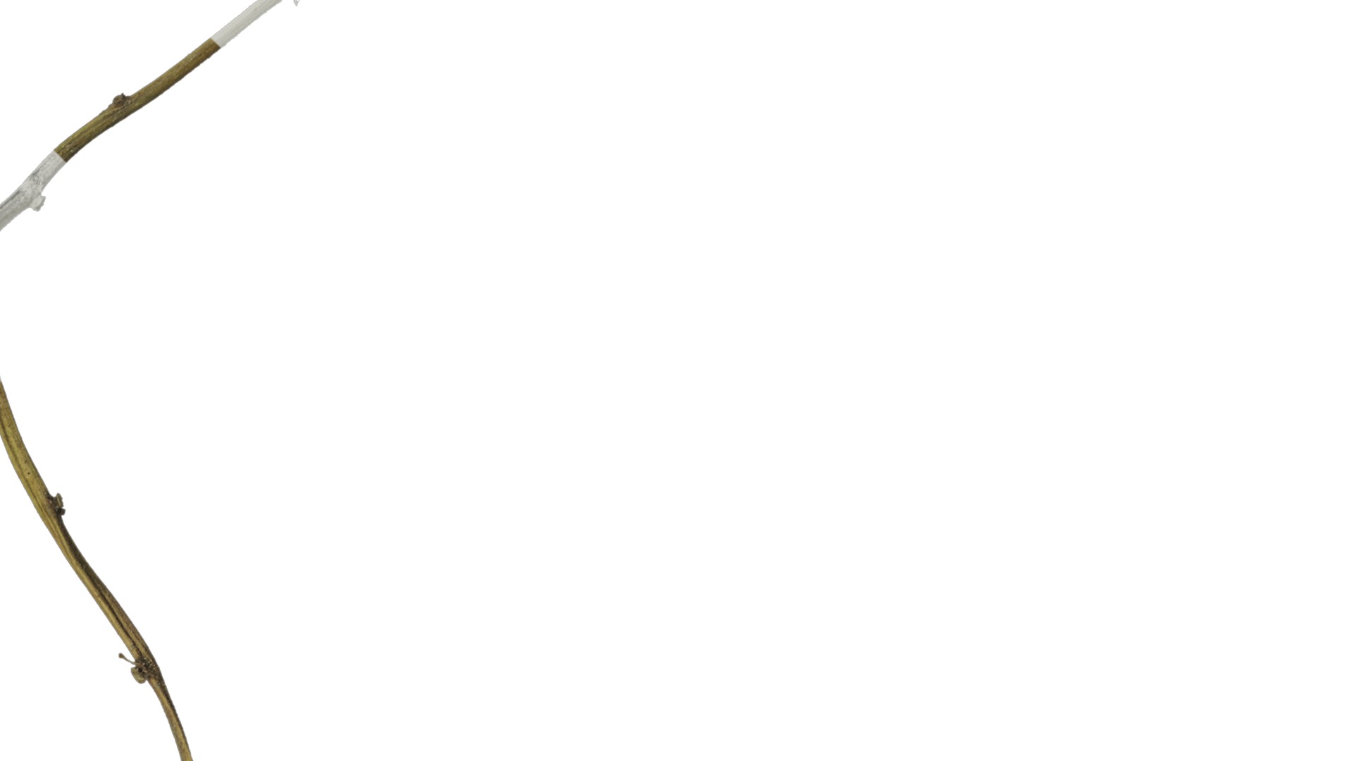 Anydrafts Pile of dead leaves 06 Texture_2