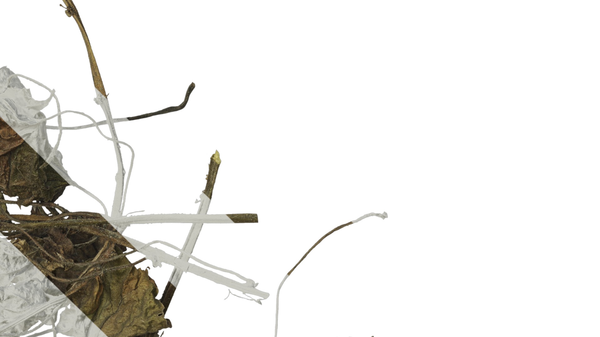 Anydrafts Pile of dead leaves 06 Texture_4