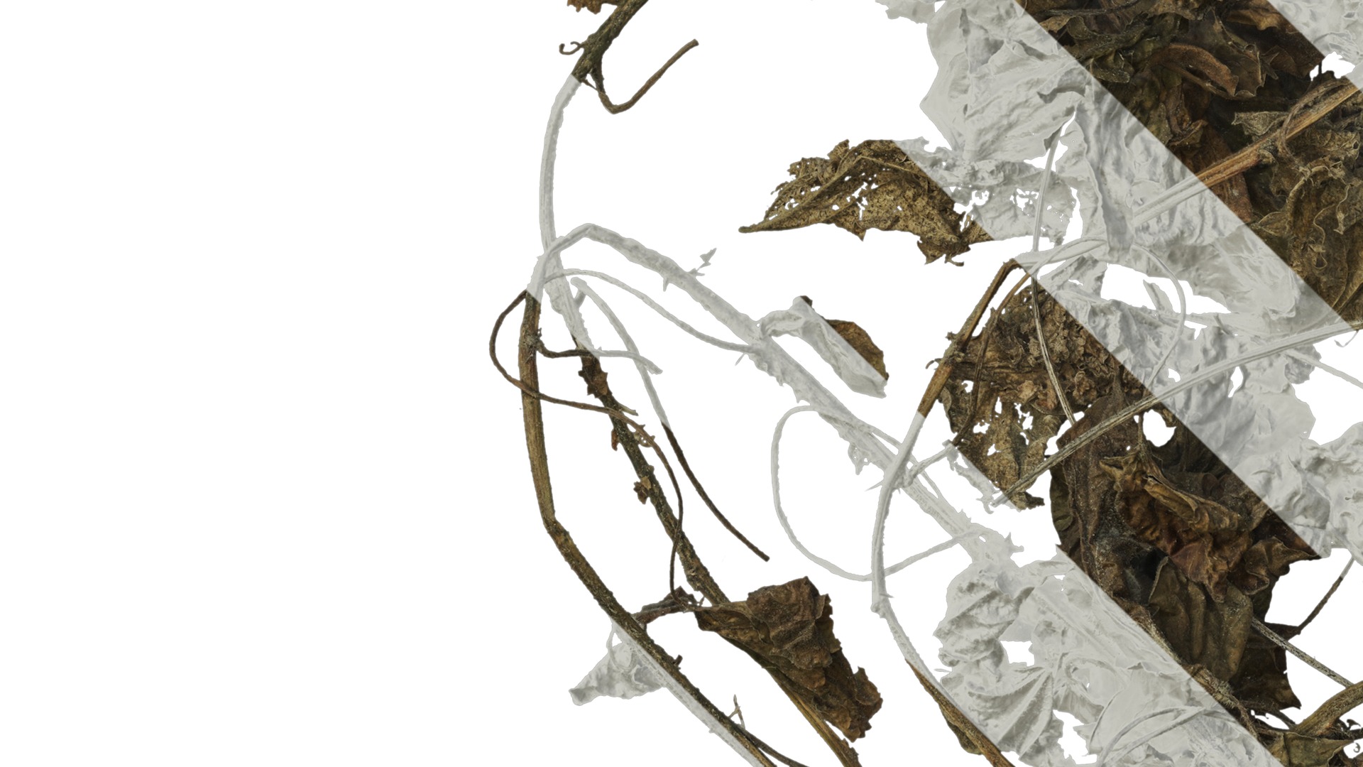 Anydrafts Pile of dead leaves 06 Texture_5