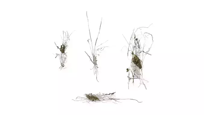 Anydrafts Pile of dead leaves 07