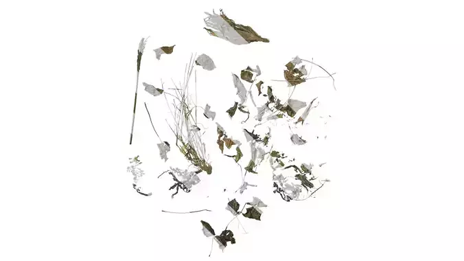 Anydrafts Pile of dead leaves 08