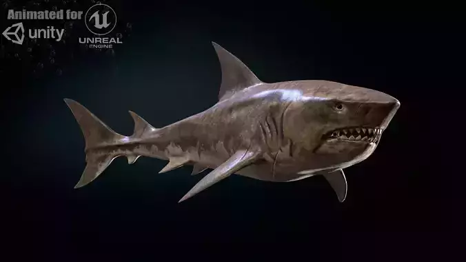 AlienShark 5 Low-poly 3D model