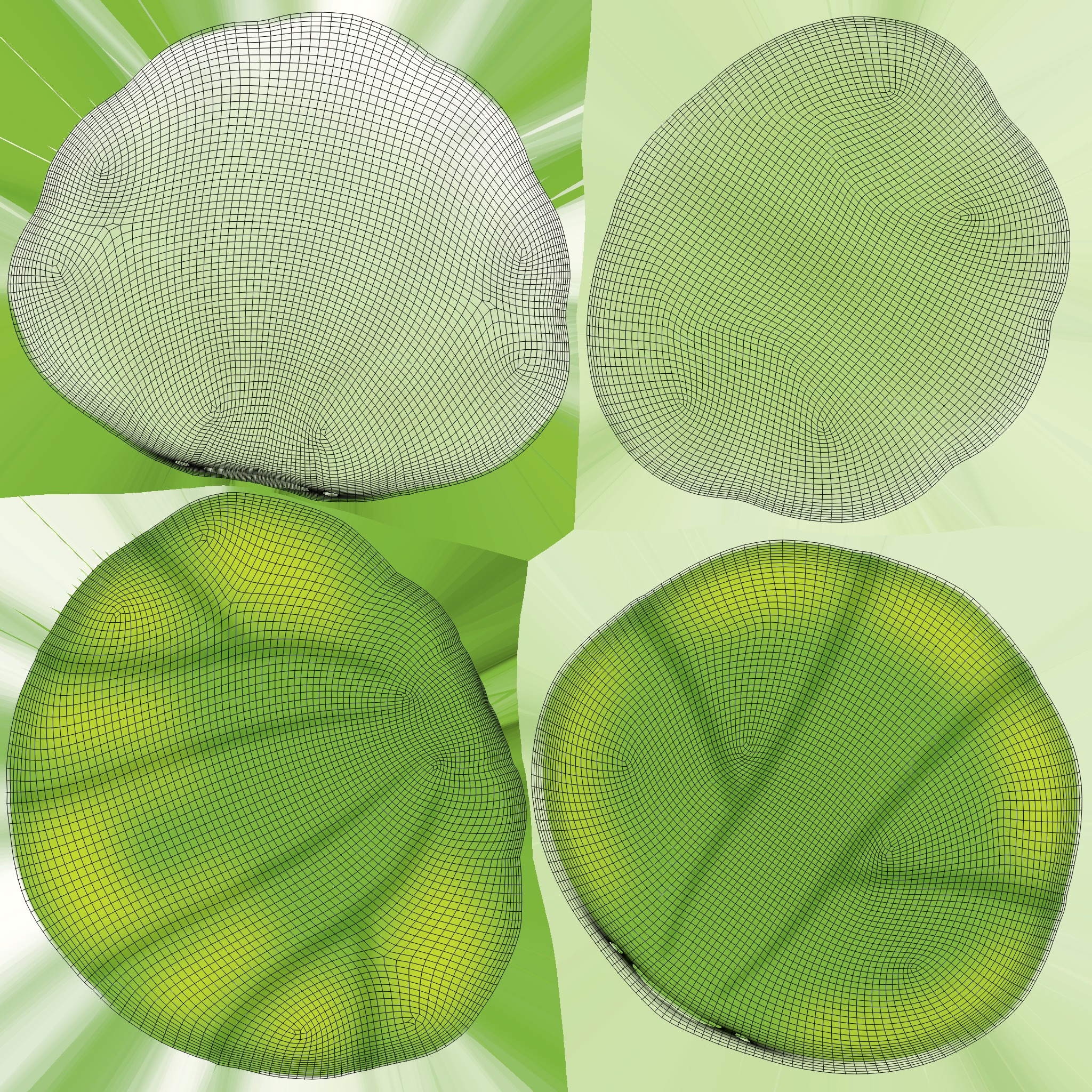 Sea Shell 05 Low-poly 3D model_6