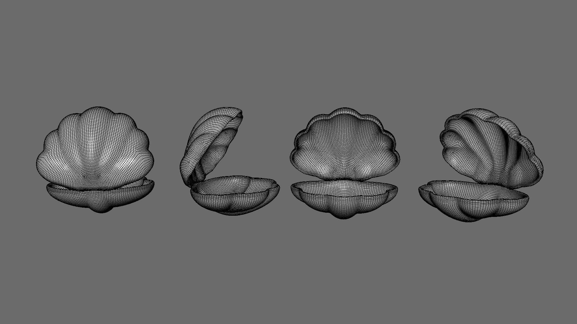 Sea Shell 05 Low-poly 3D model_7