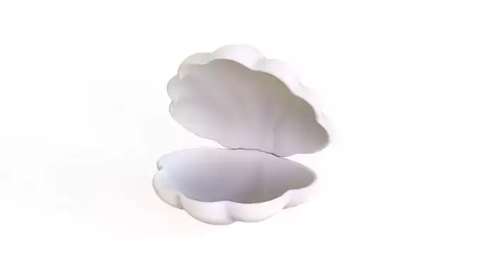 Sea Shell 06 Low-poly 3D model