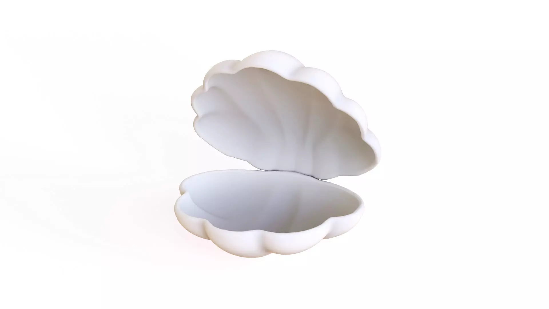 Sea Shell 06 Low-poly 3D model_0