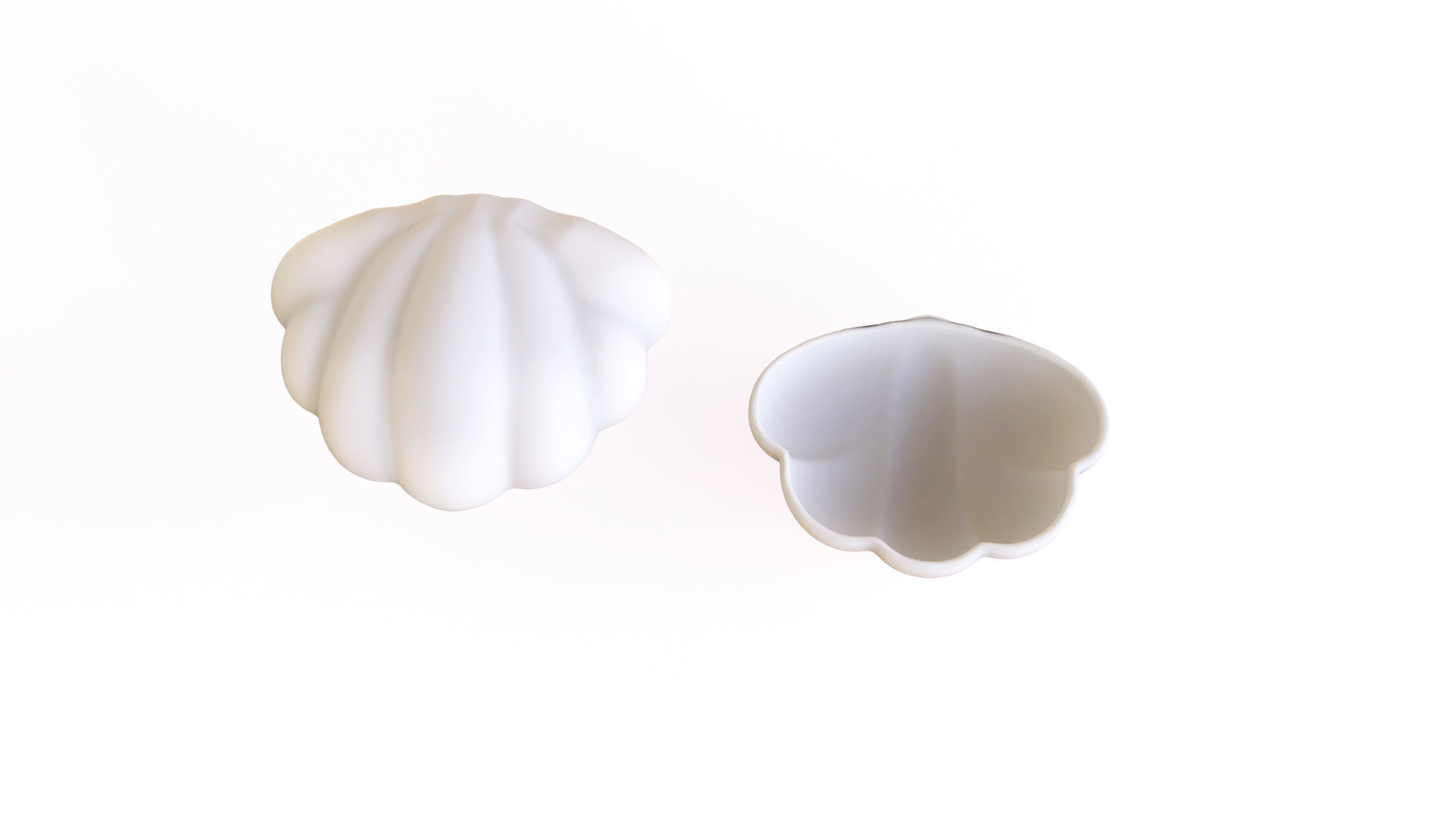 Sea Shell 06 Low-poly 3D model_4