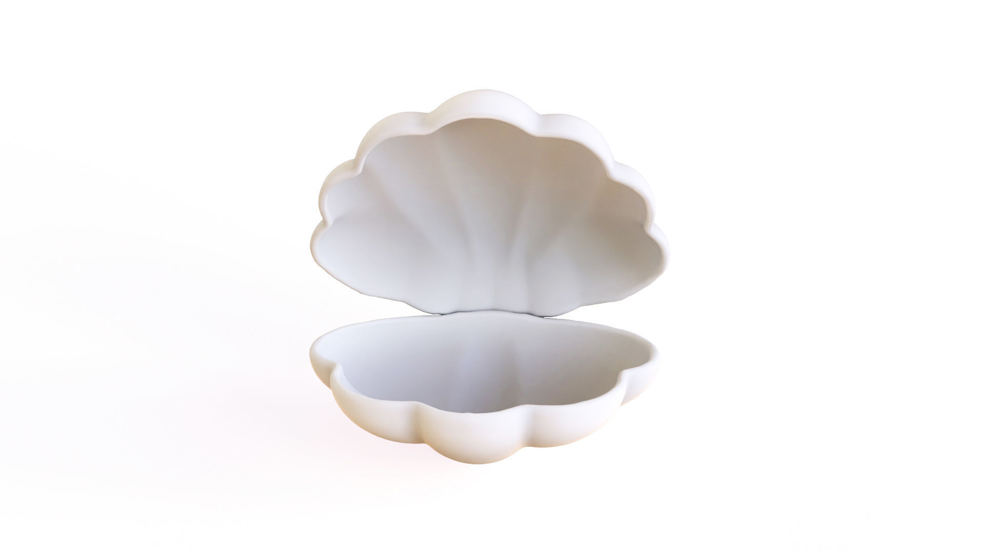 Sea Shell 06 Low-poly 3D model_1