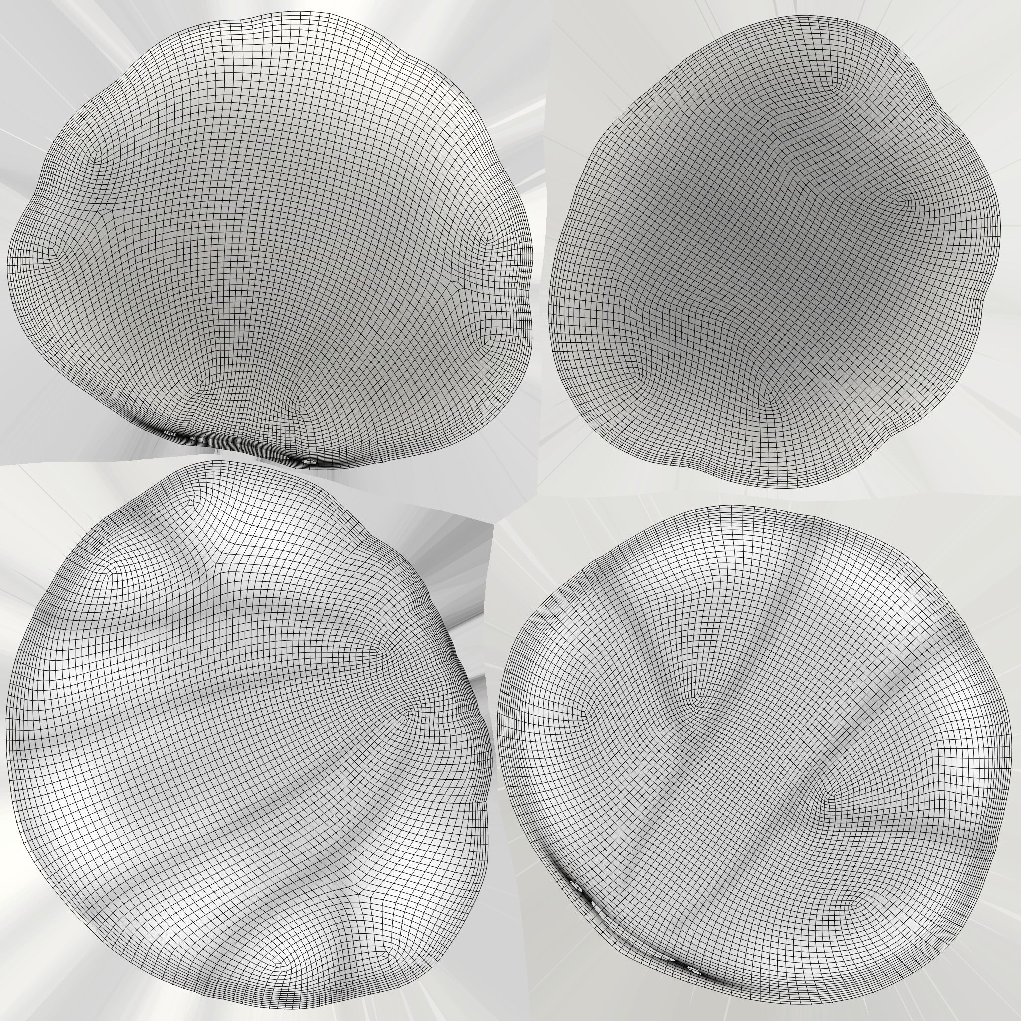 Sea Shell 06 Low-poly 3D model_7