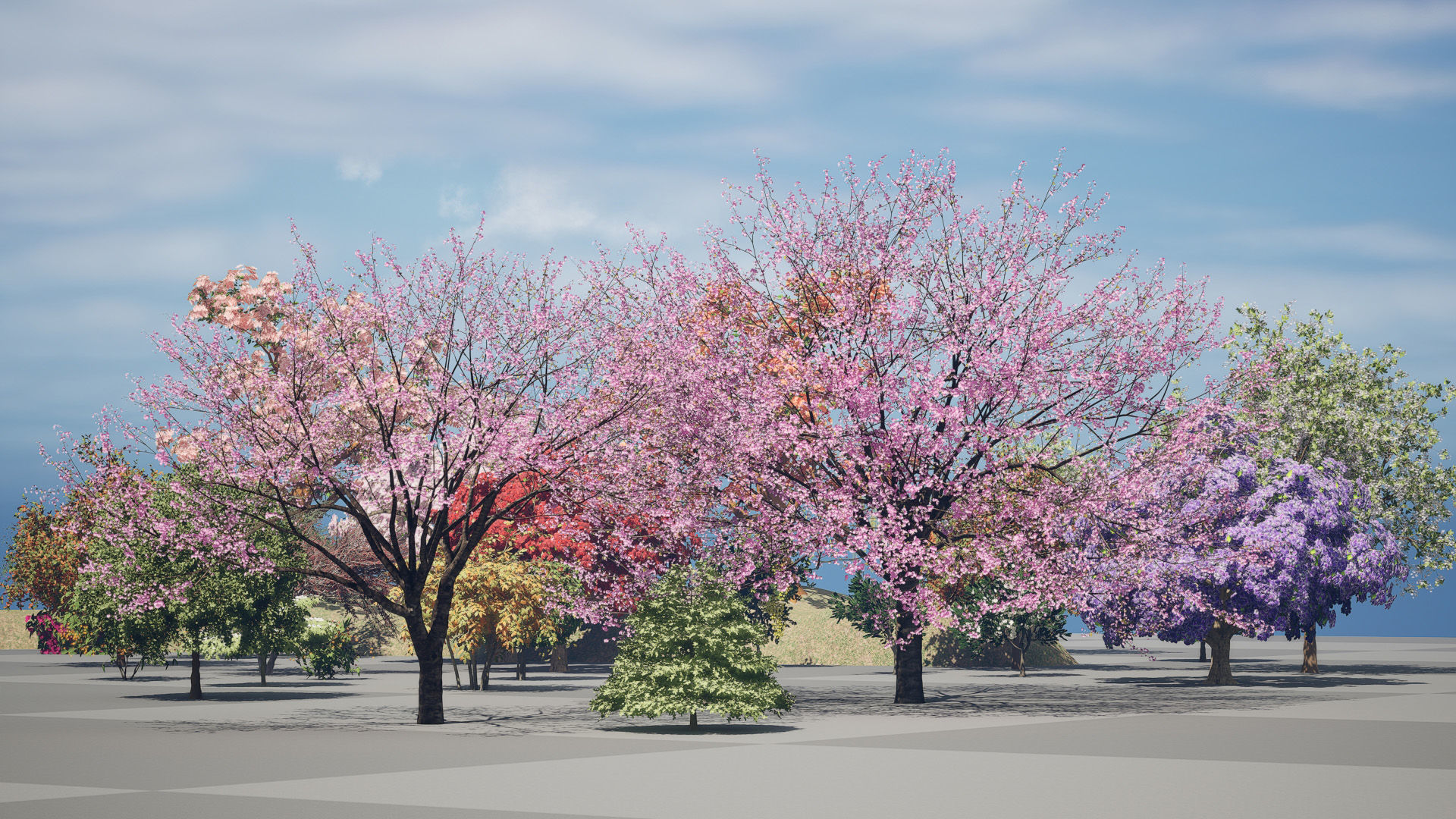 Flowering Trees 3d Pack 3D model_7