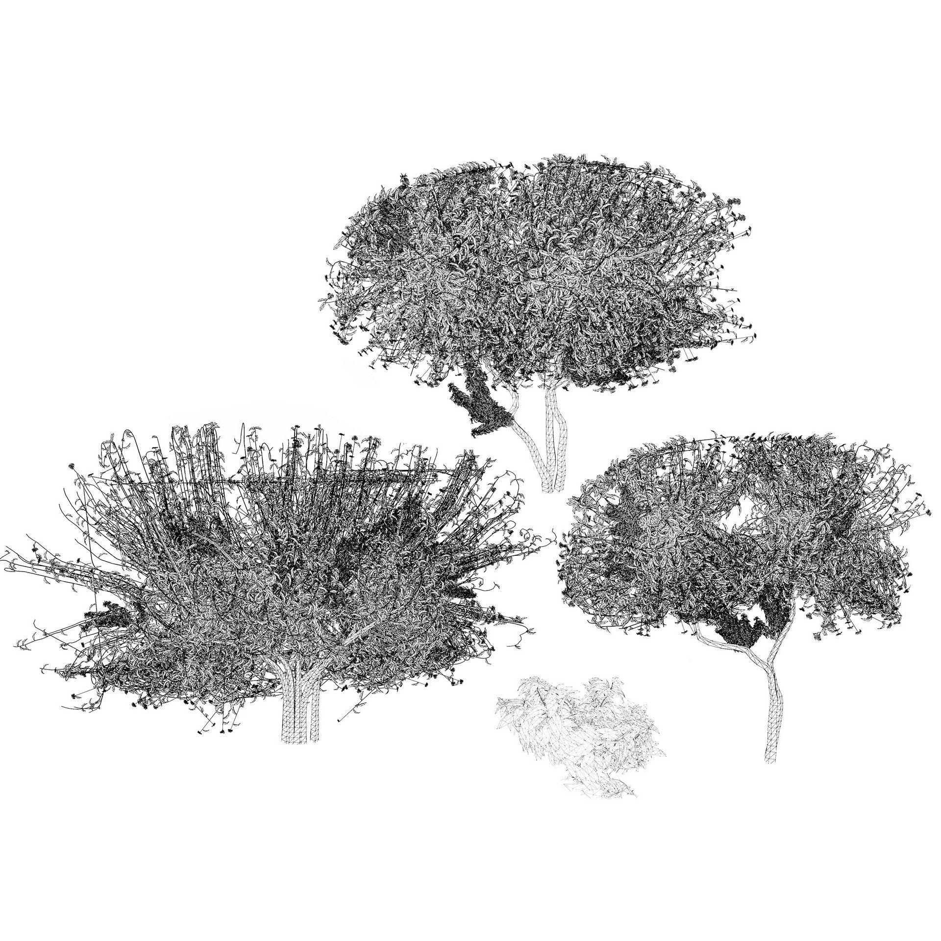 Flowering Trees 3d Pack 3D model_40