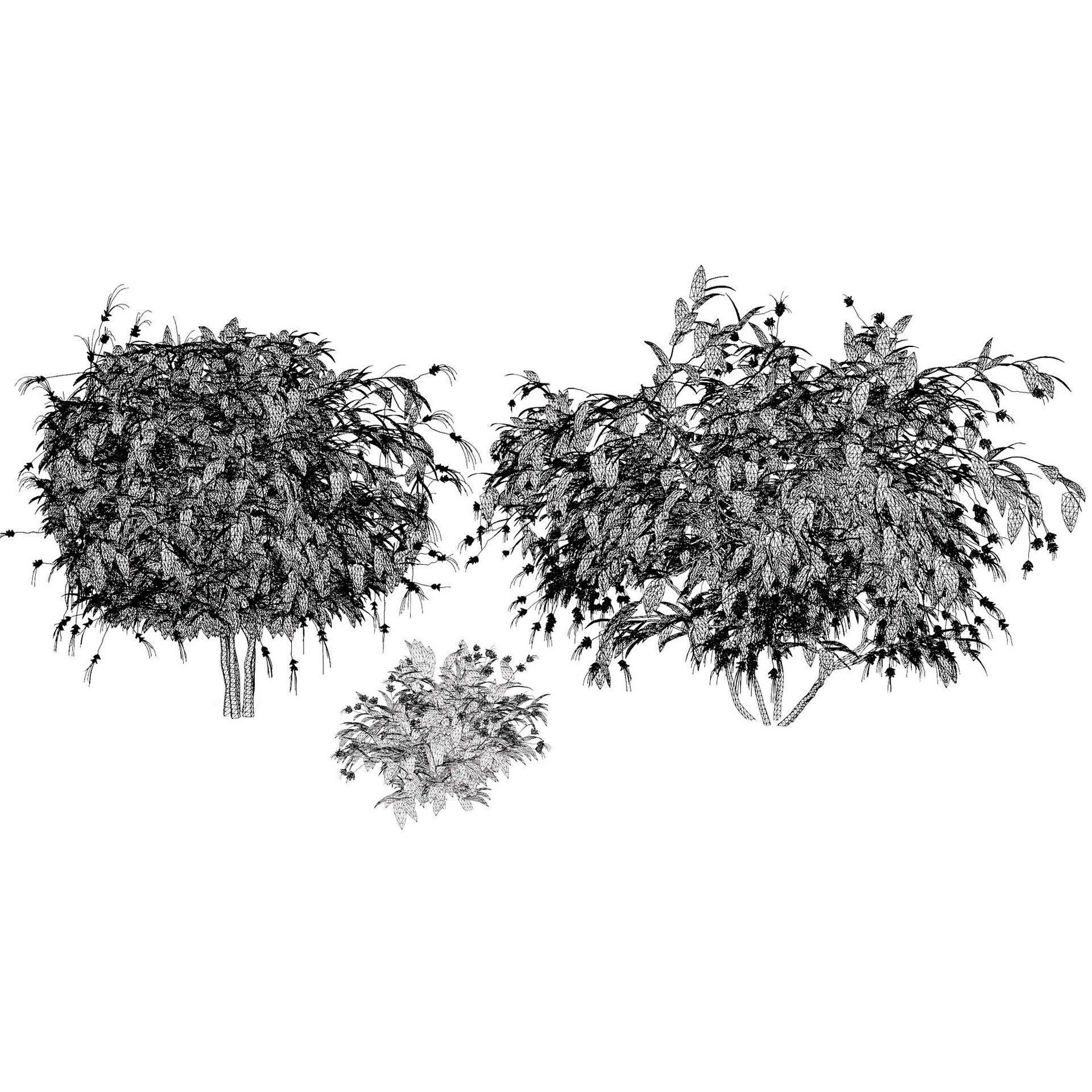Flowering Trees 3d Pack 3D model_42