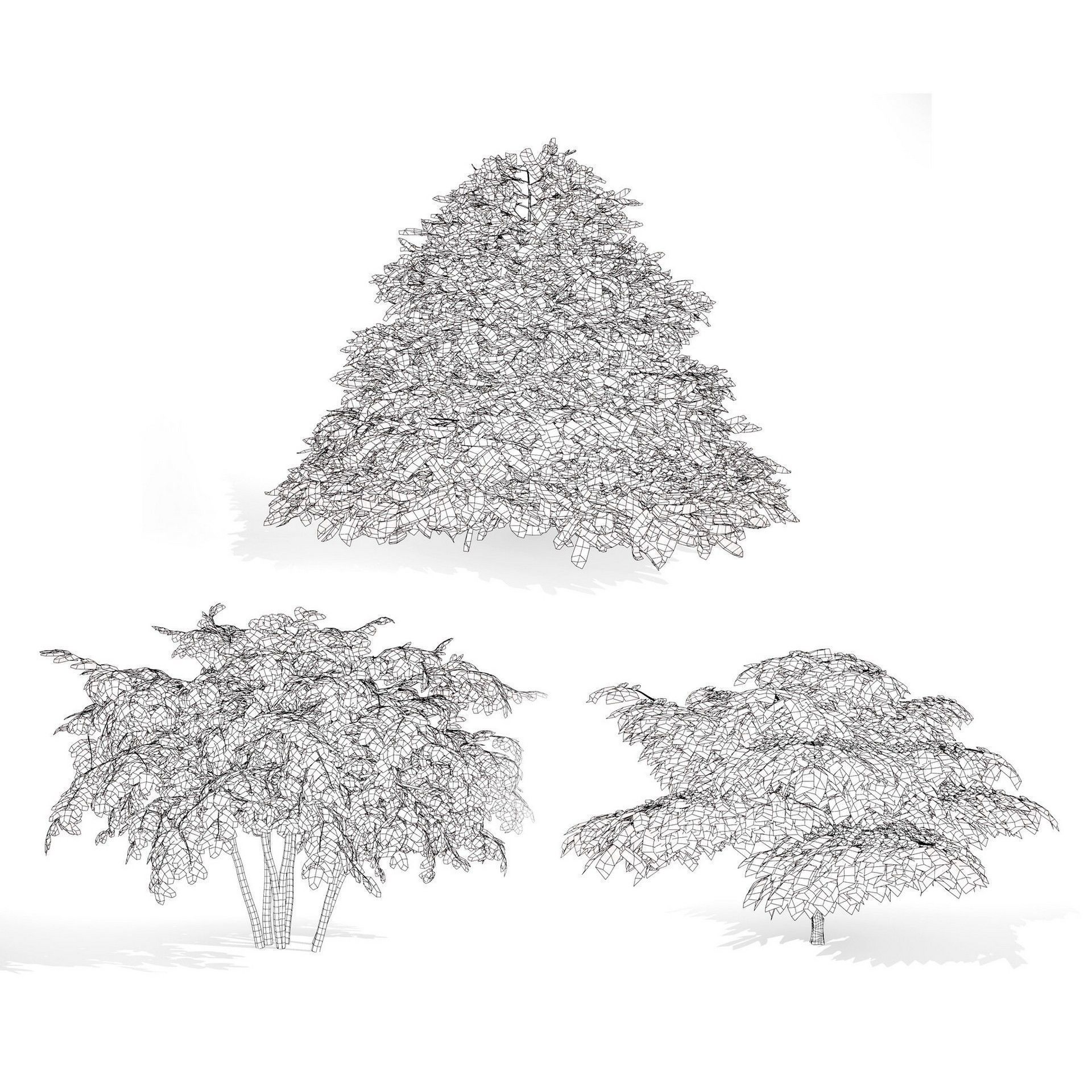 Flowering Trees 3d Pack 3D model_43