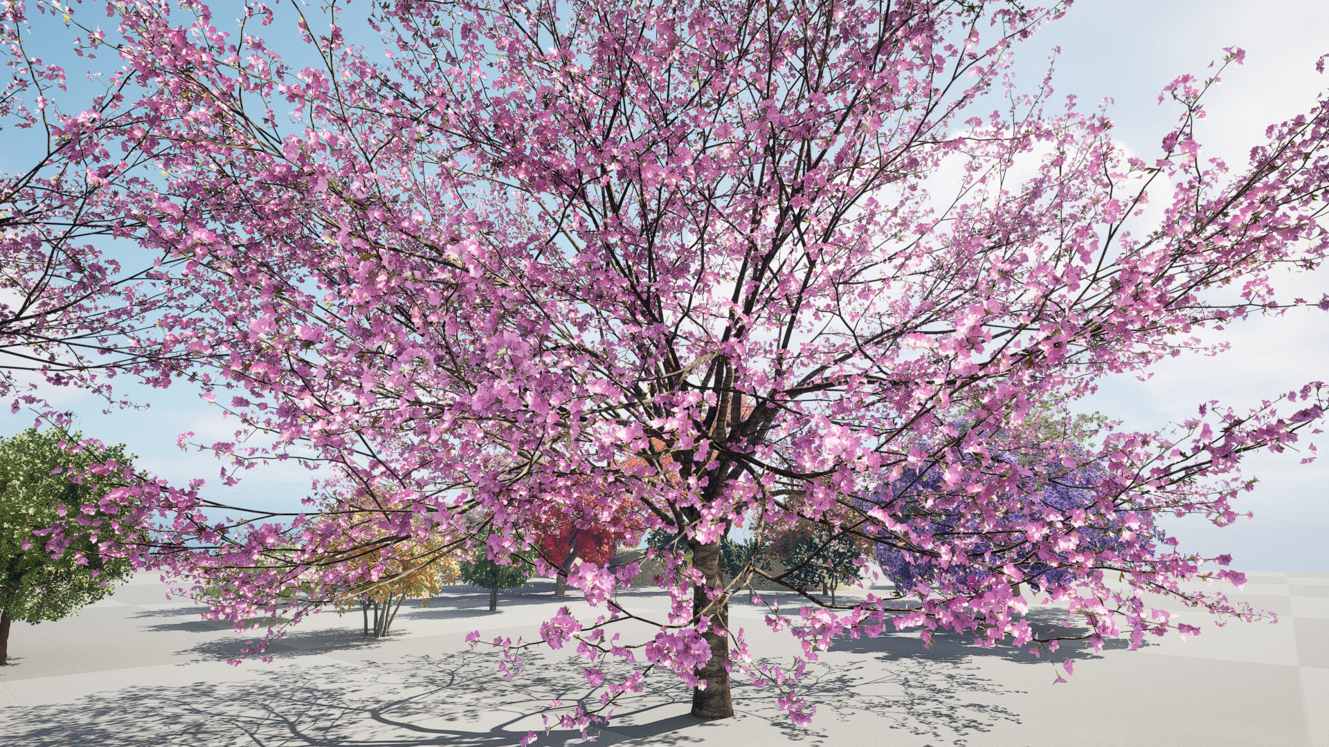 Flowering Trees 3d Pack 3D model_4