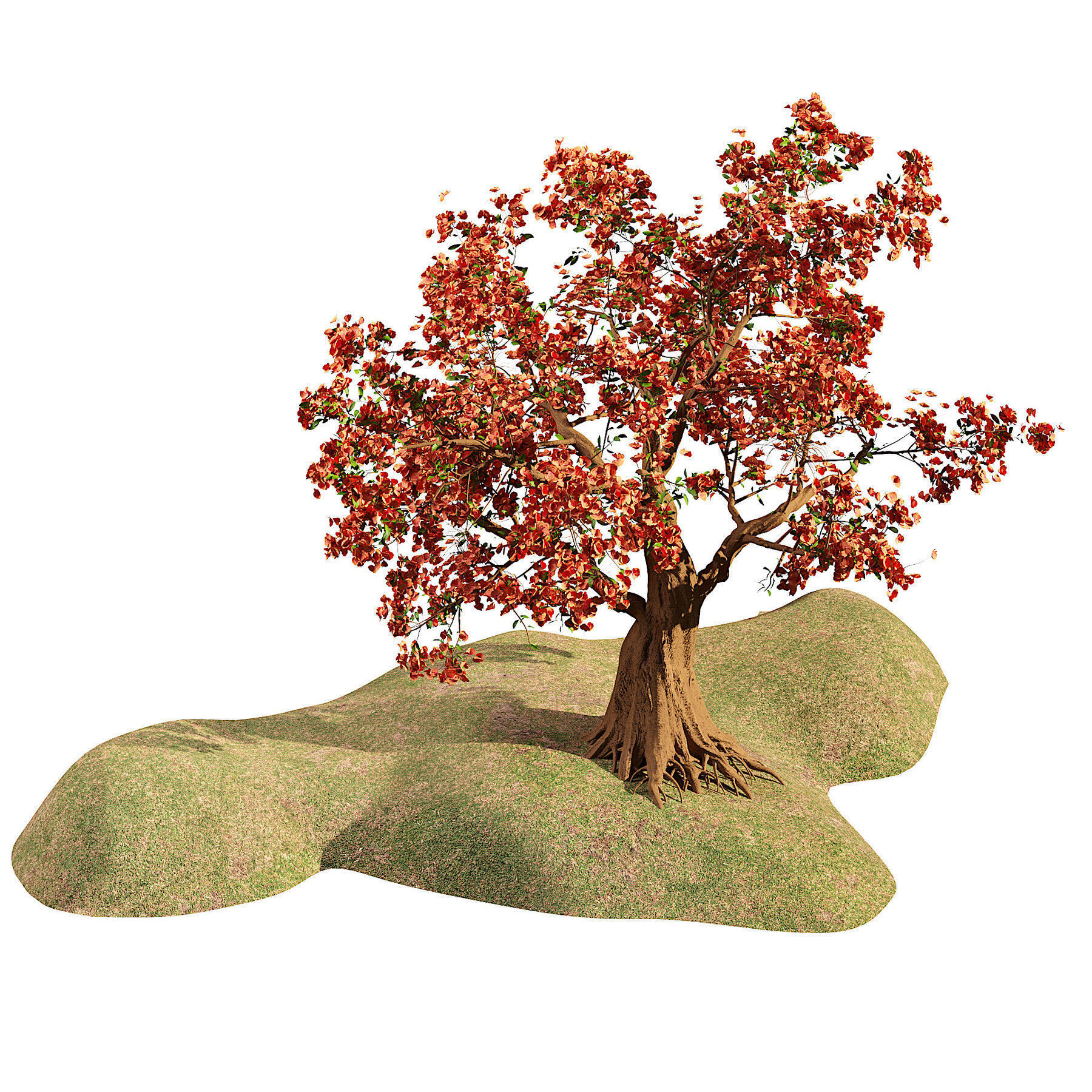 Flowering Trees 3d Pack 3D model_19