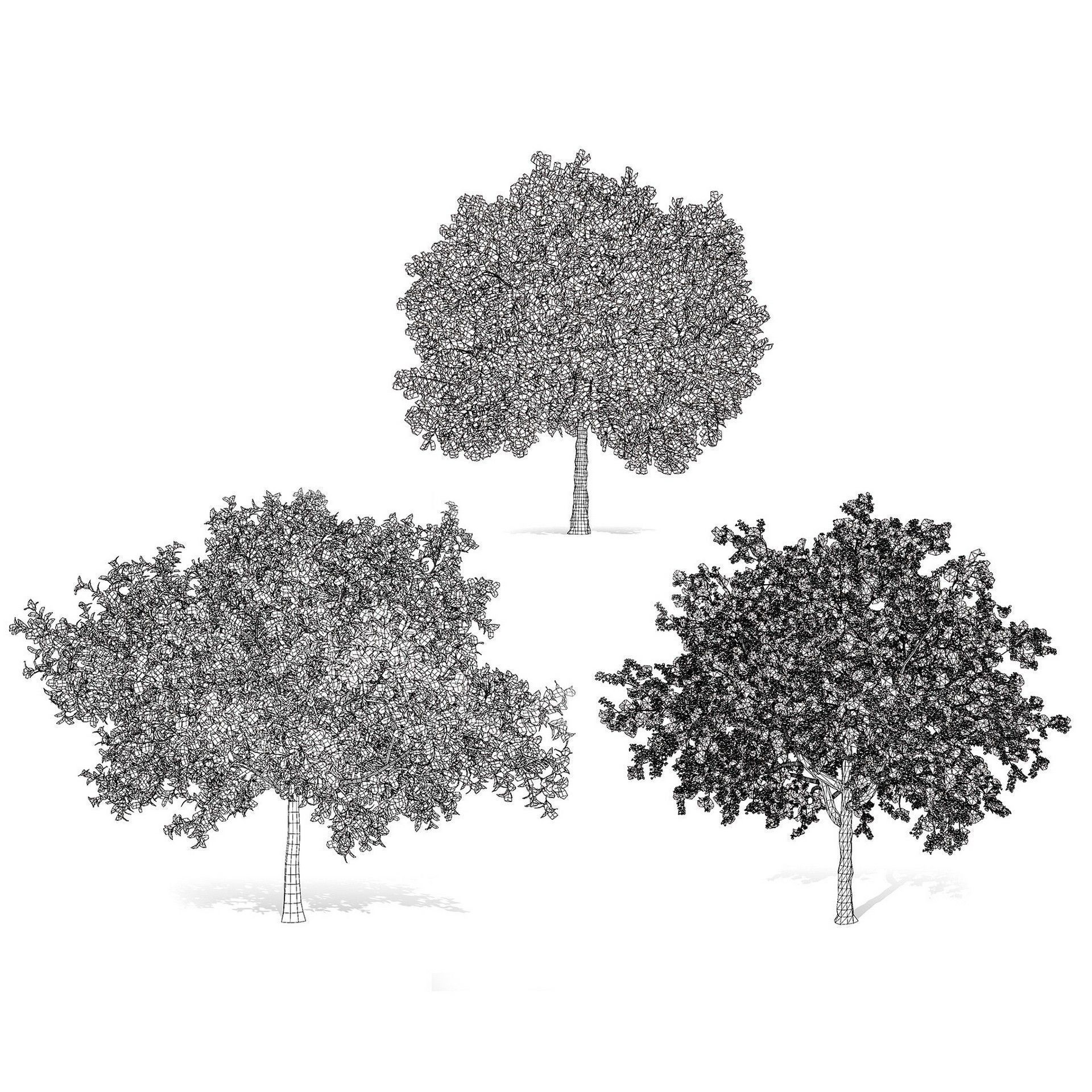 Flowering Trees 3d Pack 3D model_41