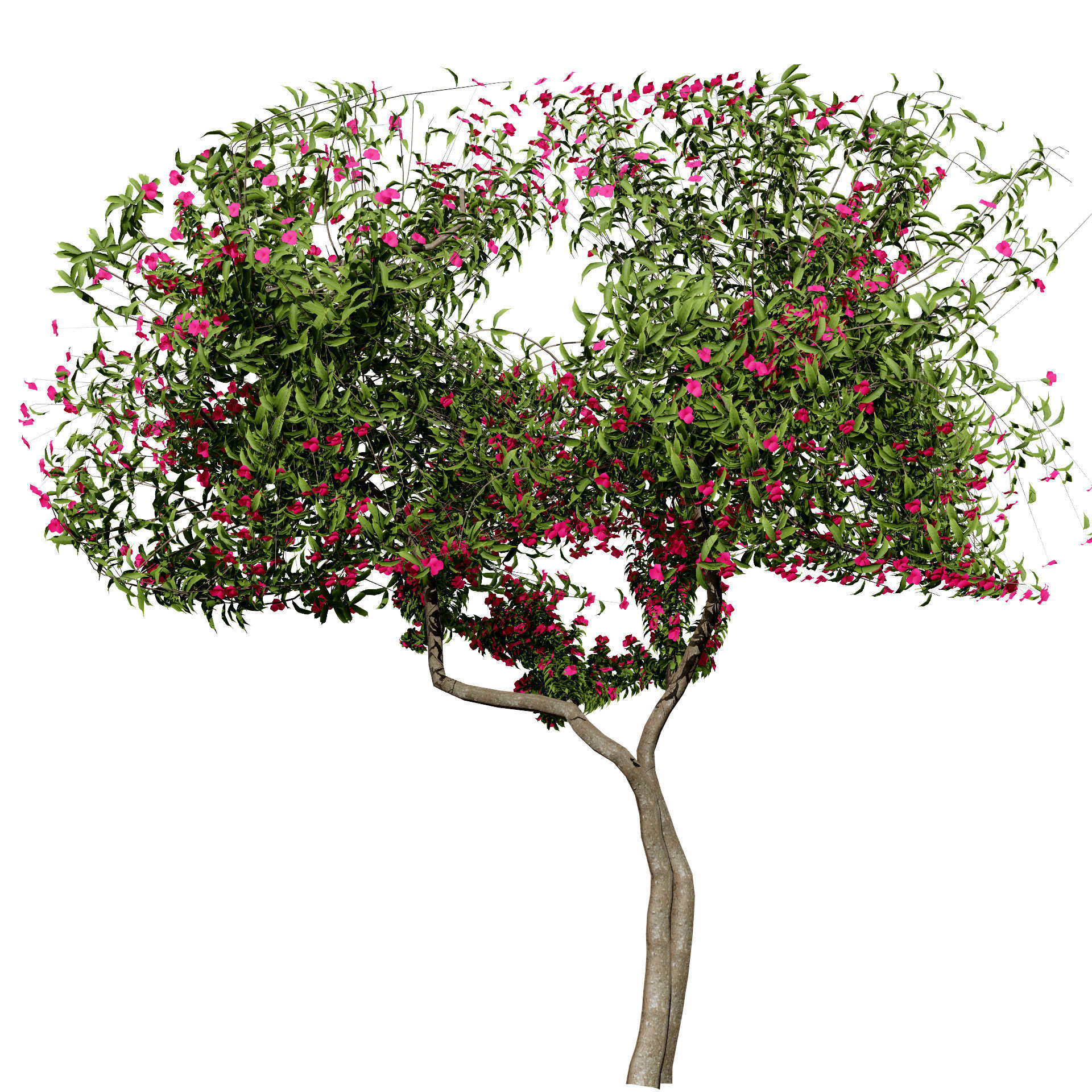 Flowering Trees 3d Pack 3D model_33