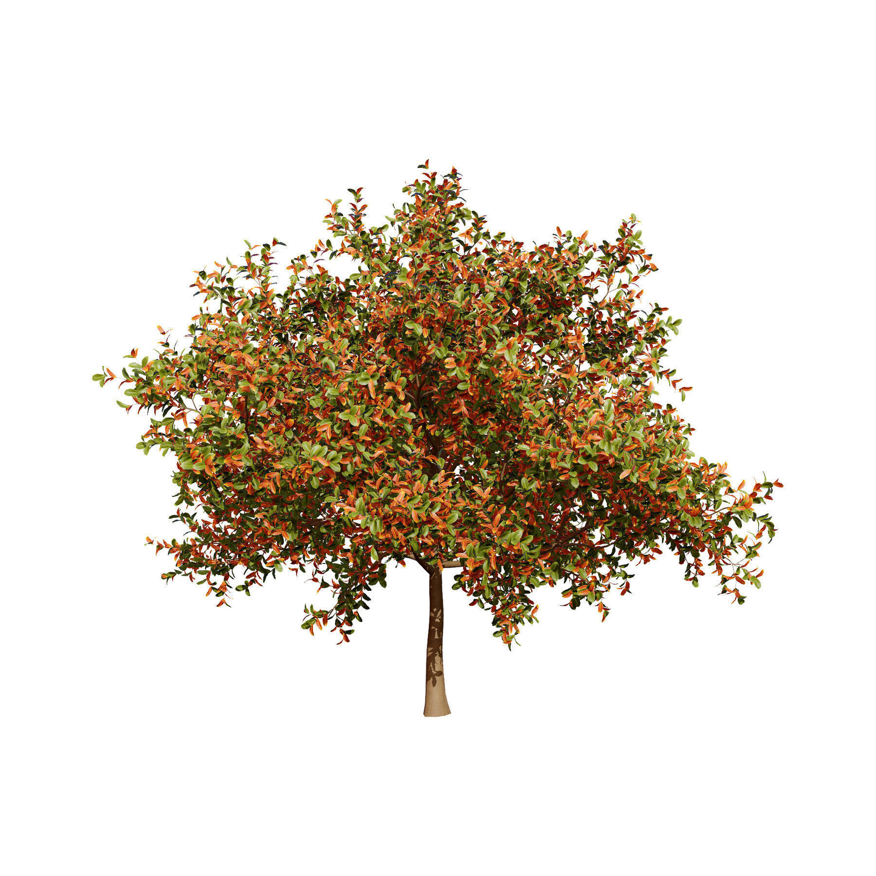 Flowering Trees 3d Pack 3D model_27
