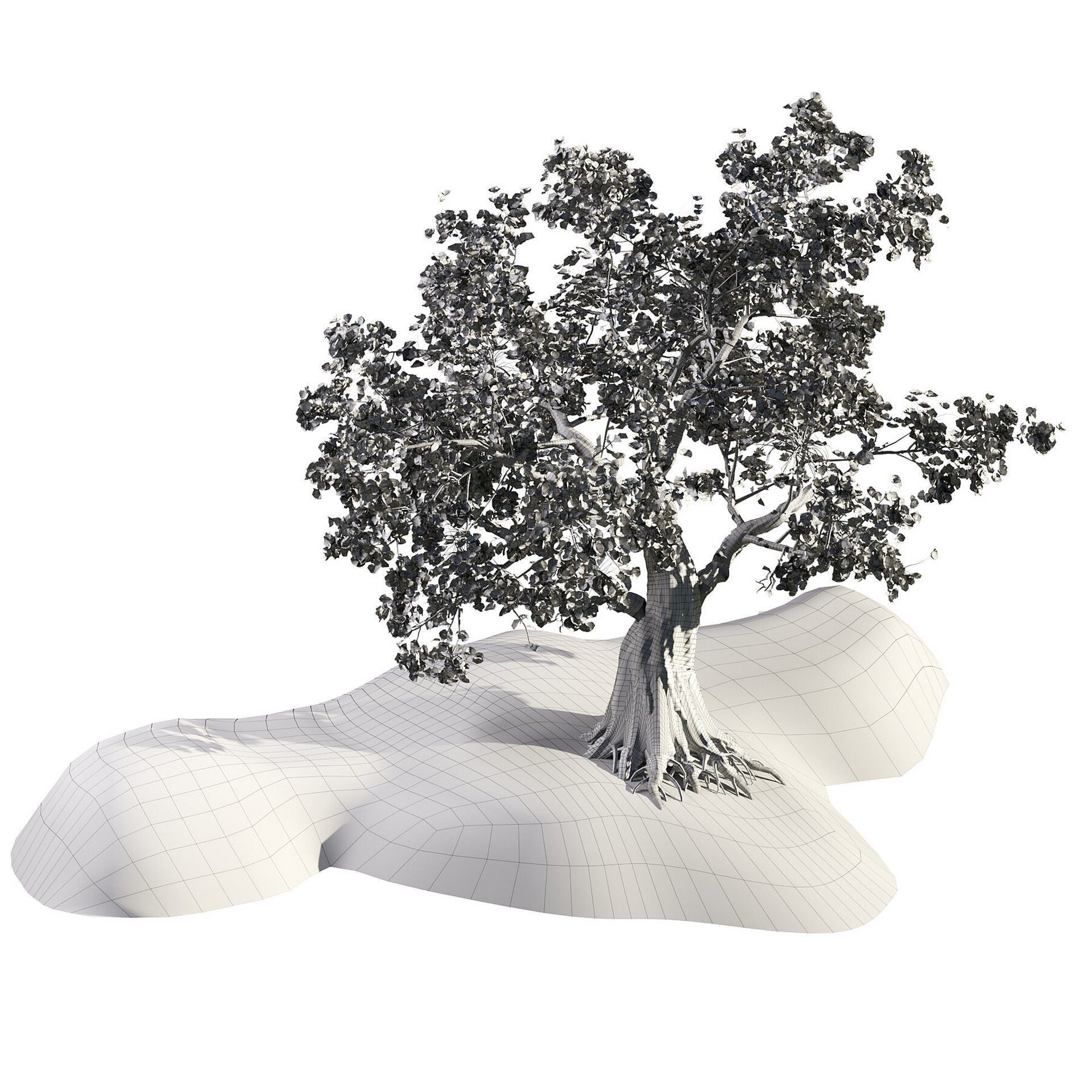 Flowering Trees 3d Pack 3D model_38
