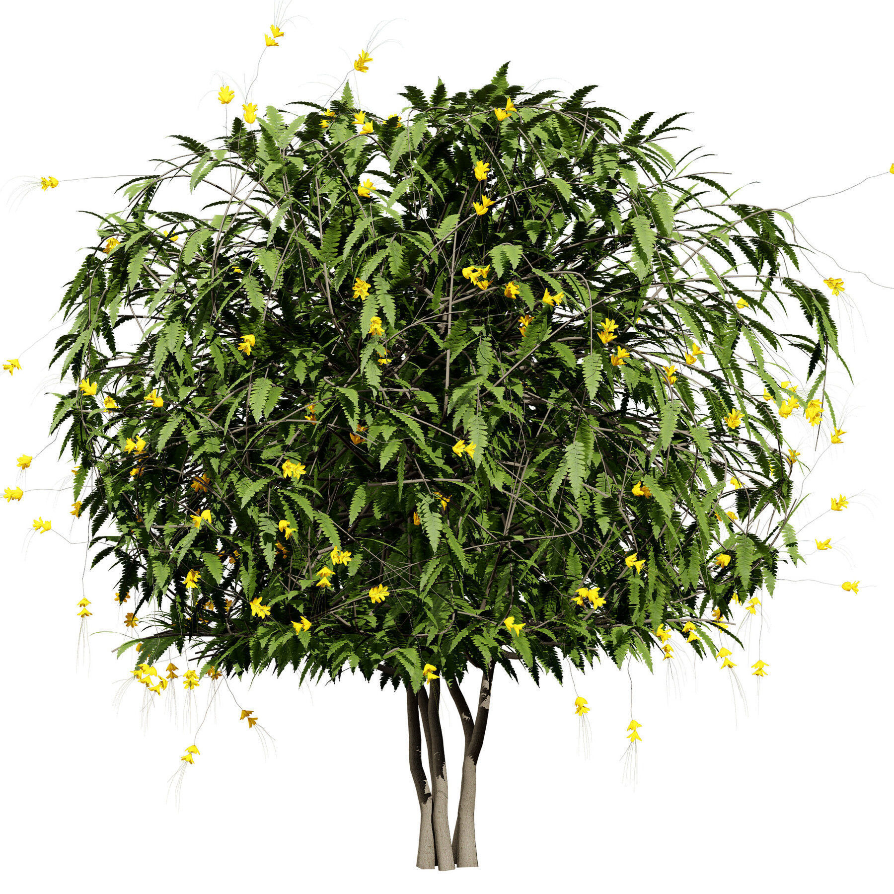 Flowering Trees 3d Pack 3D model_31