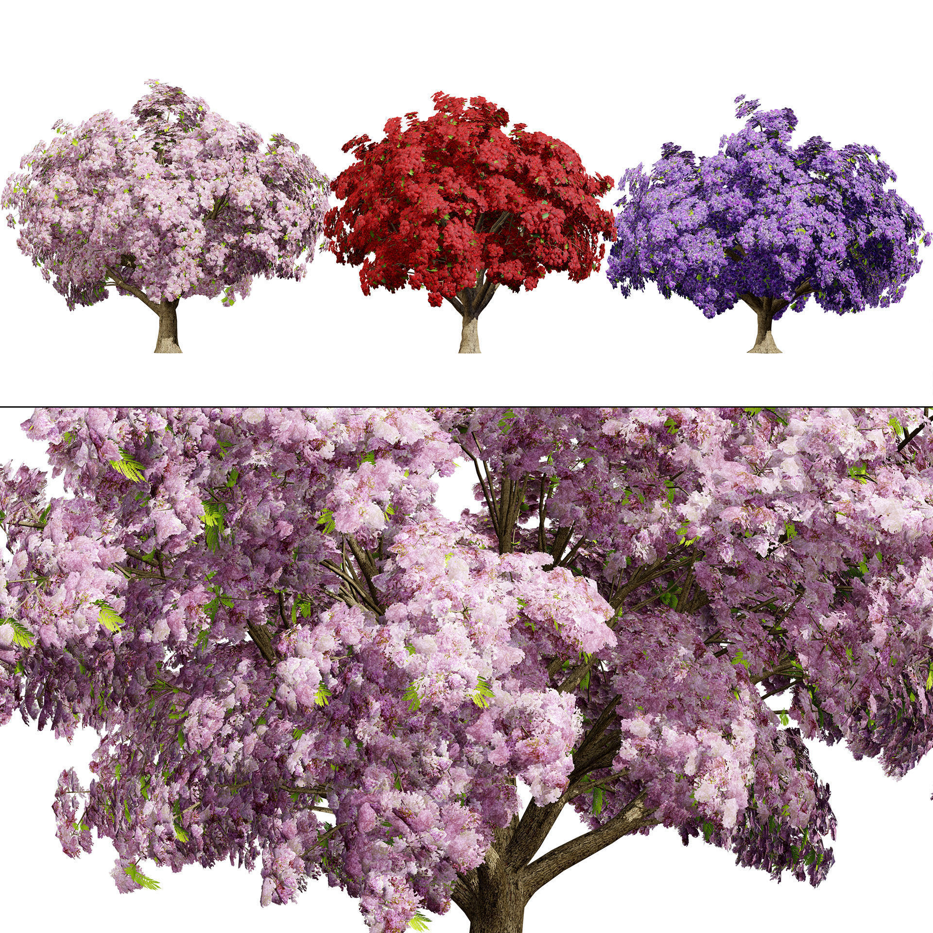 Flowering Trees 3d Pack 3D model_17