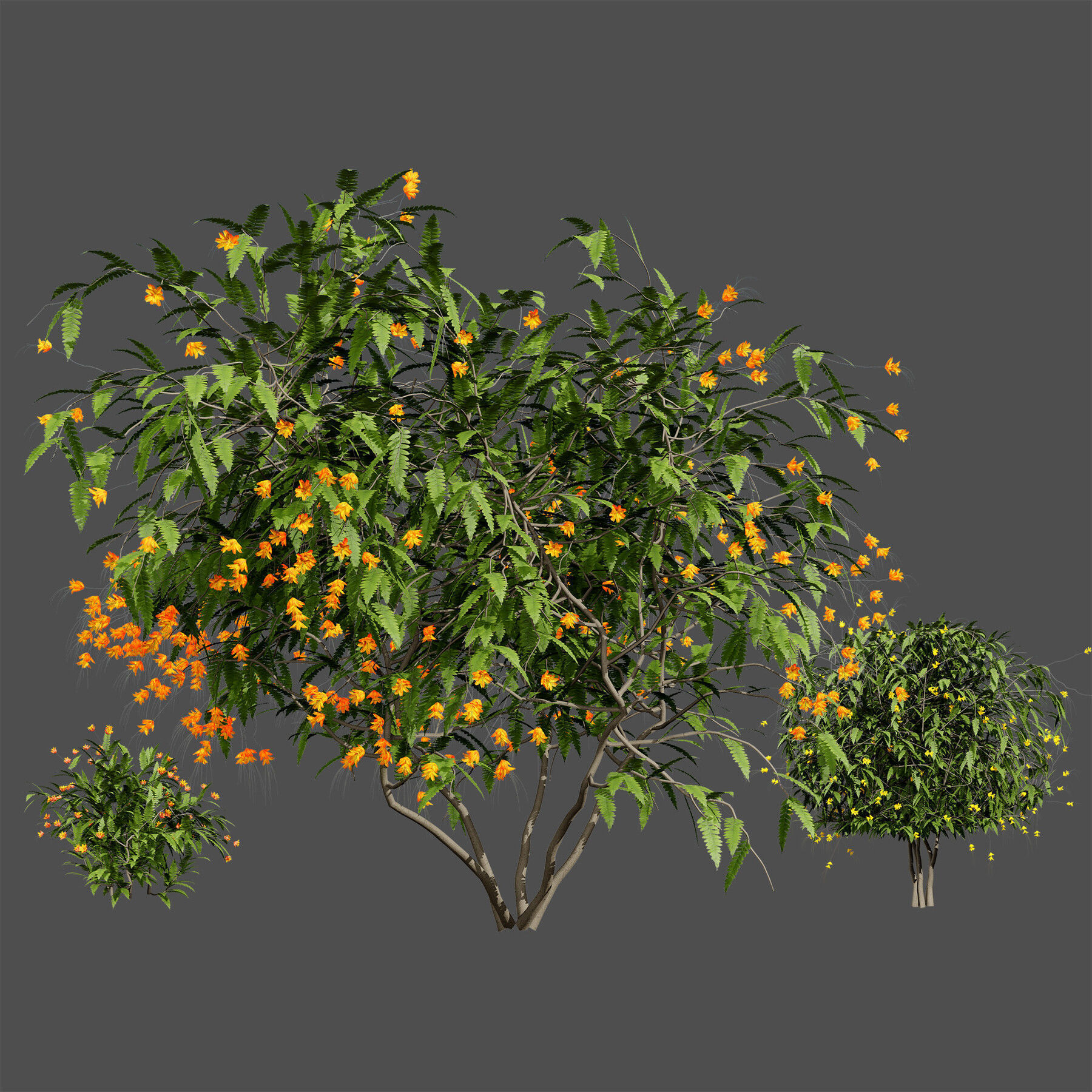 Flowering Trees 3d Pack 3D model_26