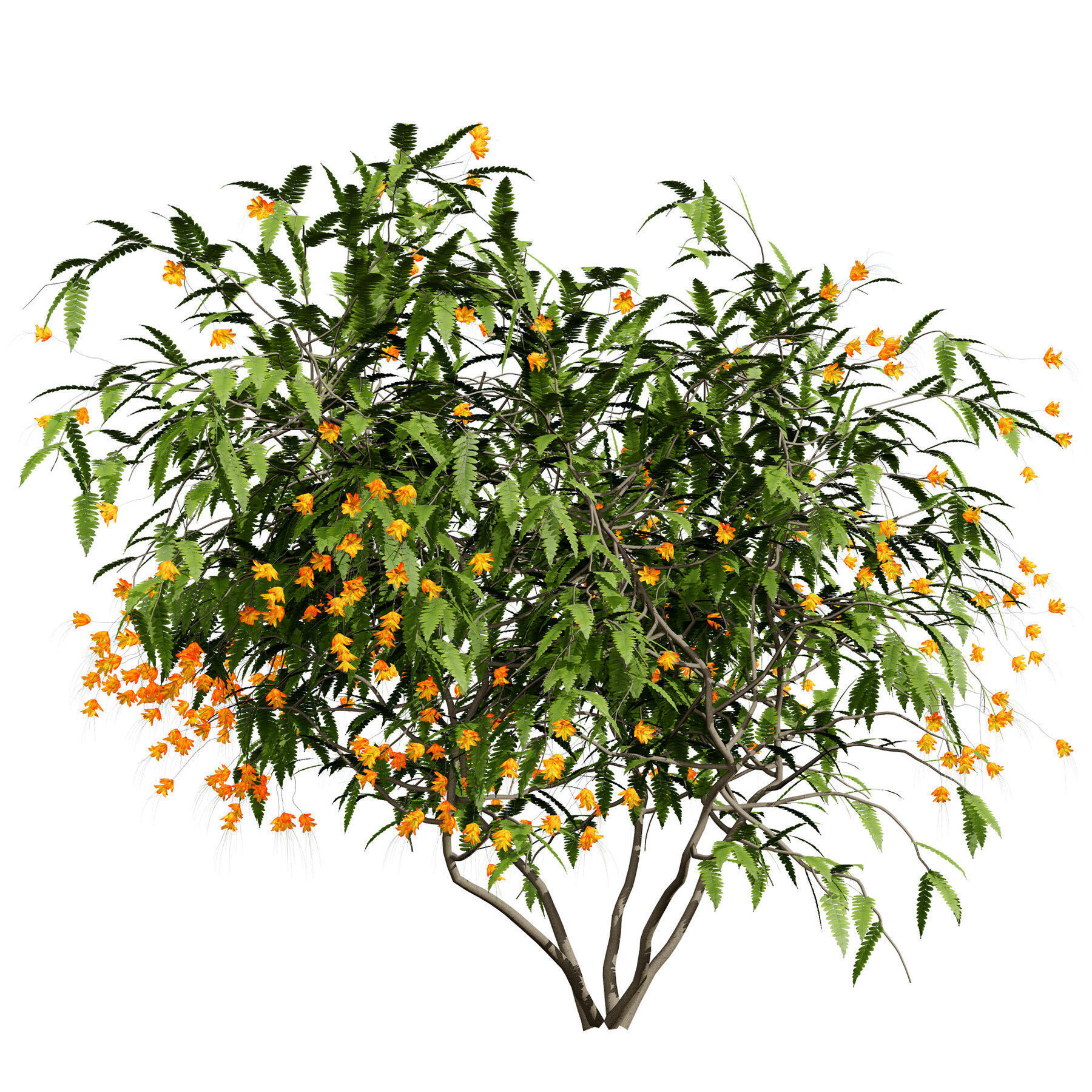 Flowering Trees 3d Pack 3D model_35