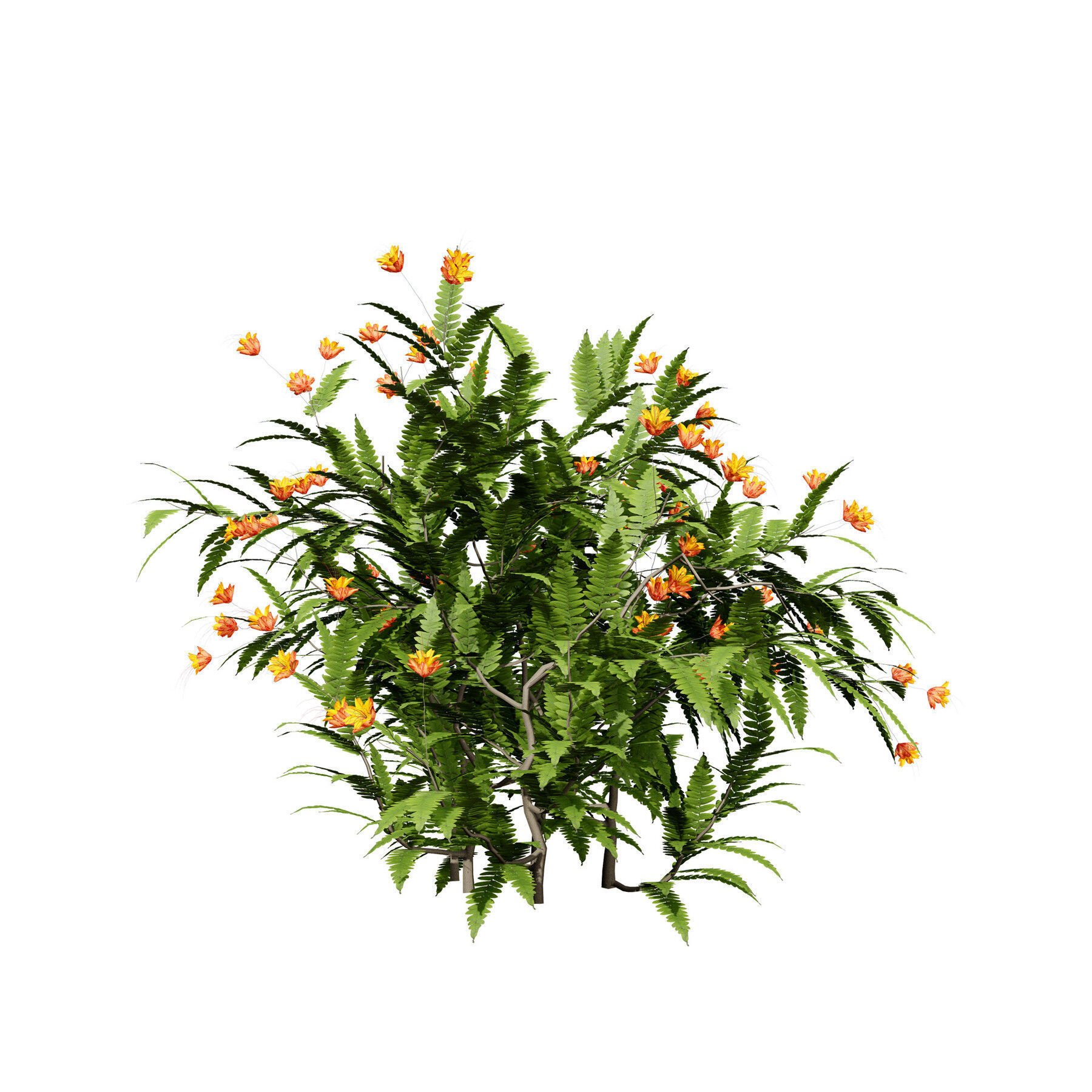 Flowering Trees 3d Pack 3D model_28