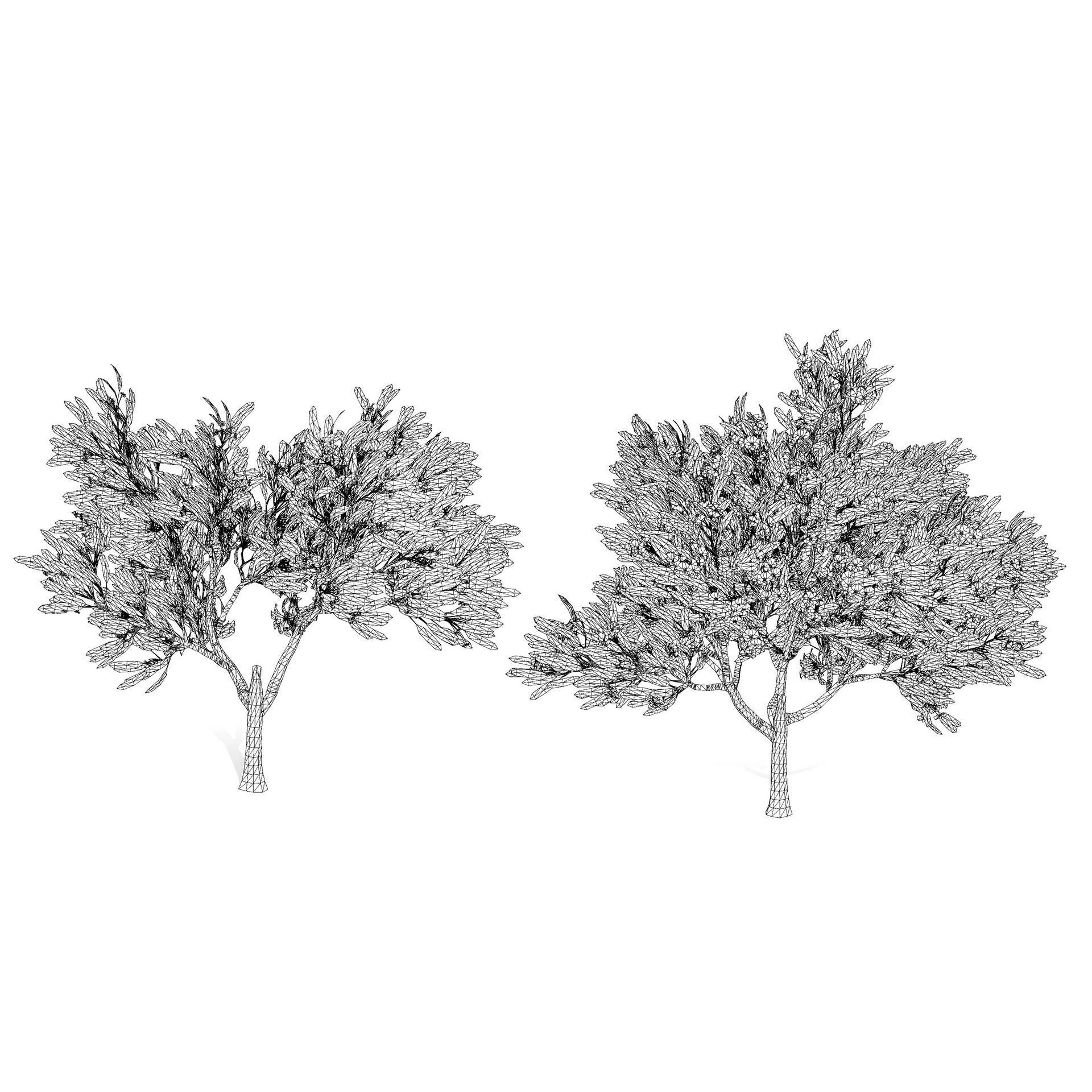 Flowering Trees 3d Pack 3D model_37