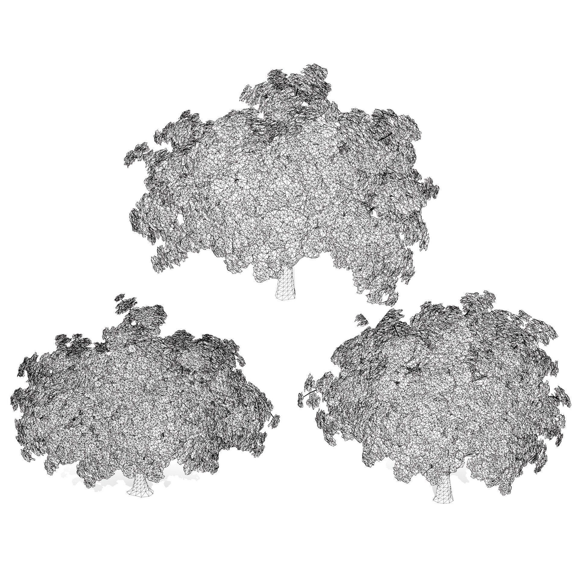 Flowering Trees 3d Pack 3D model_45