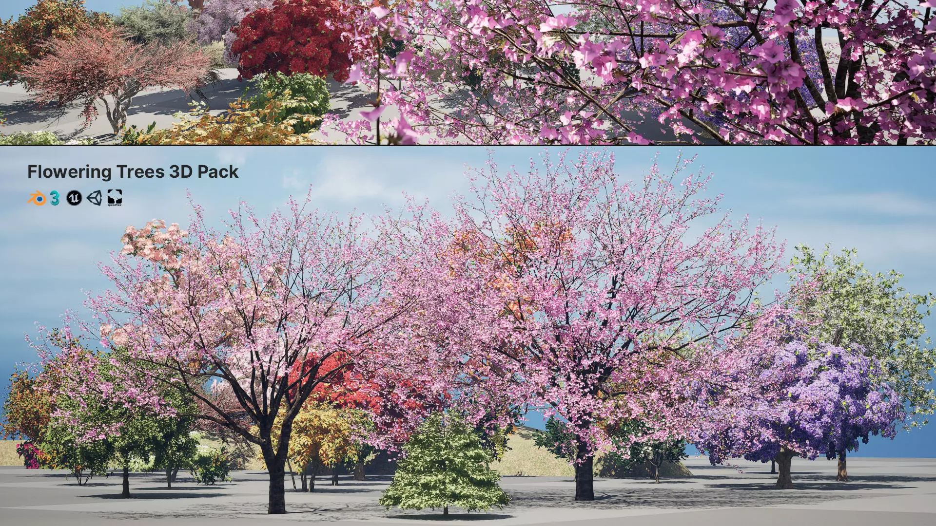 Flowering Trees 3d Pack 3D model_0