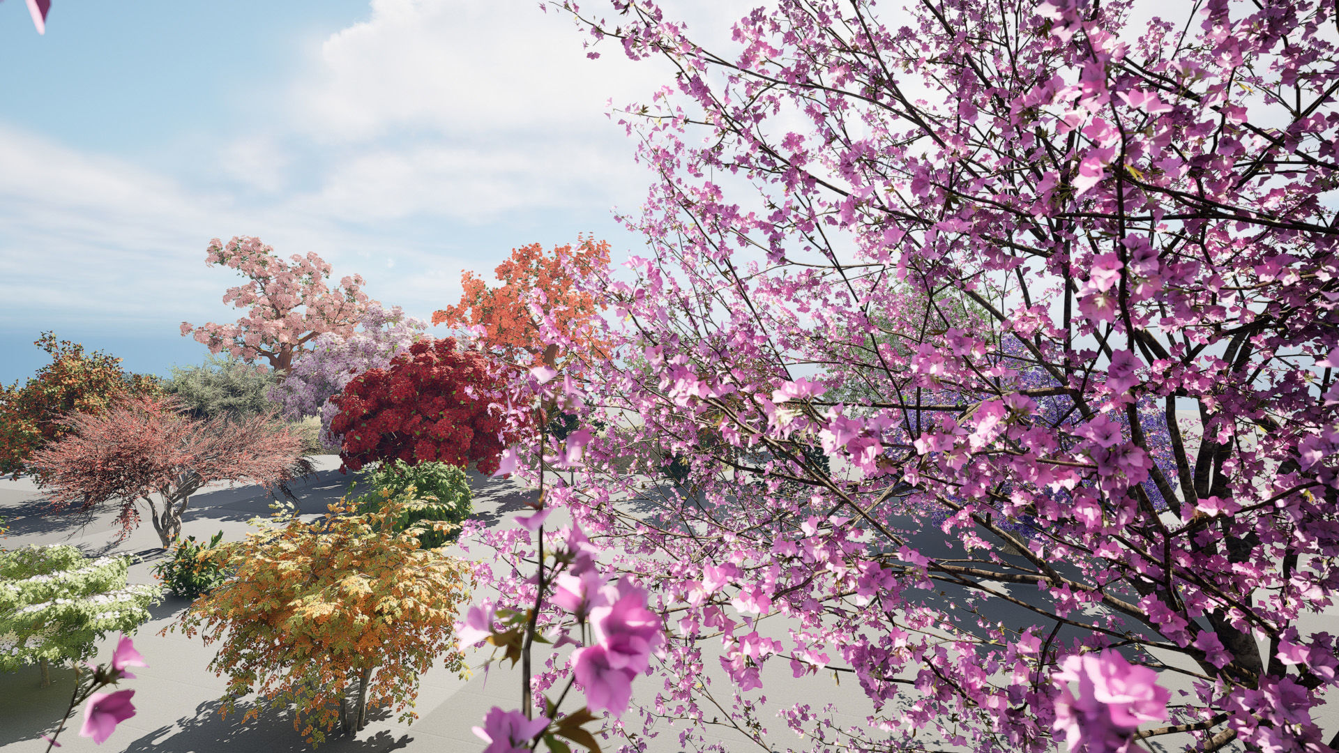 Flowering Trees 3d Pack 3D model_5