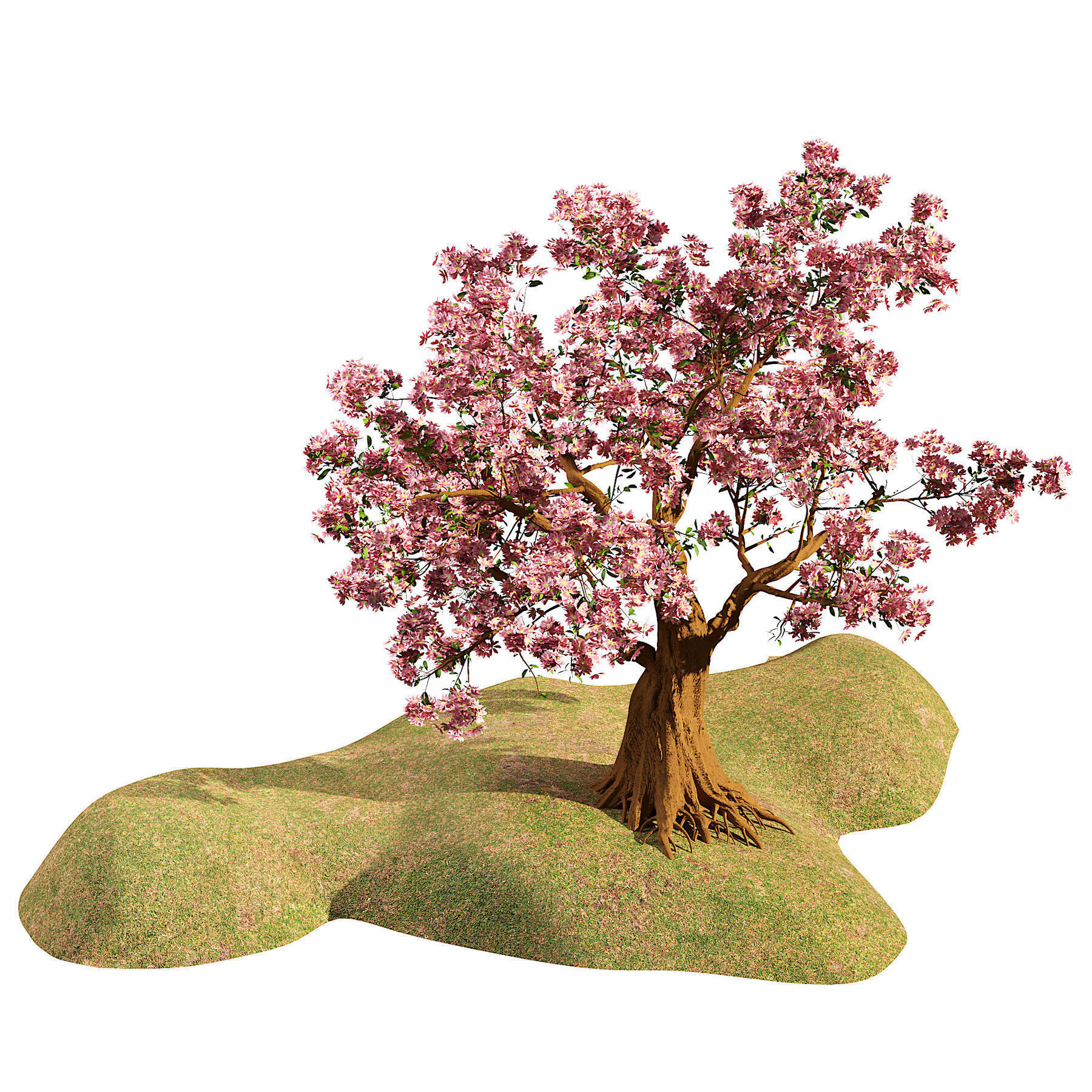 Flowering Trees 3d Pack 3D model_10