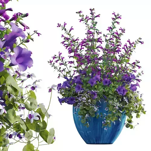 Pot Plant 02 3D model
