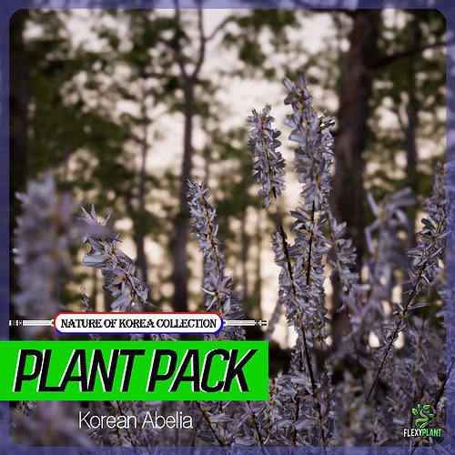 Korean Endemic Species Plant - 4 Korea Abelia Flower Tree Low-poly 3D model
